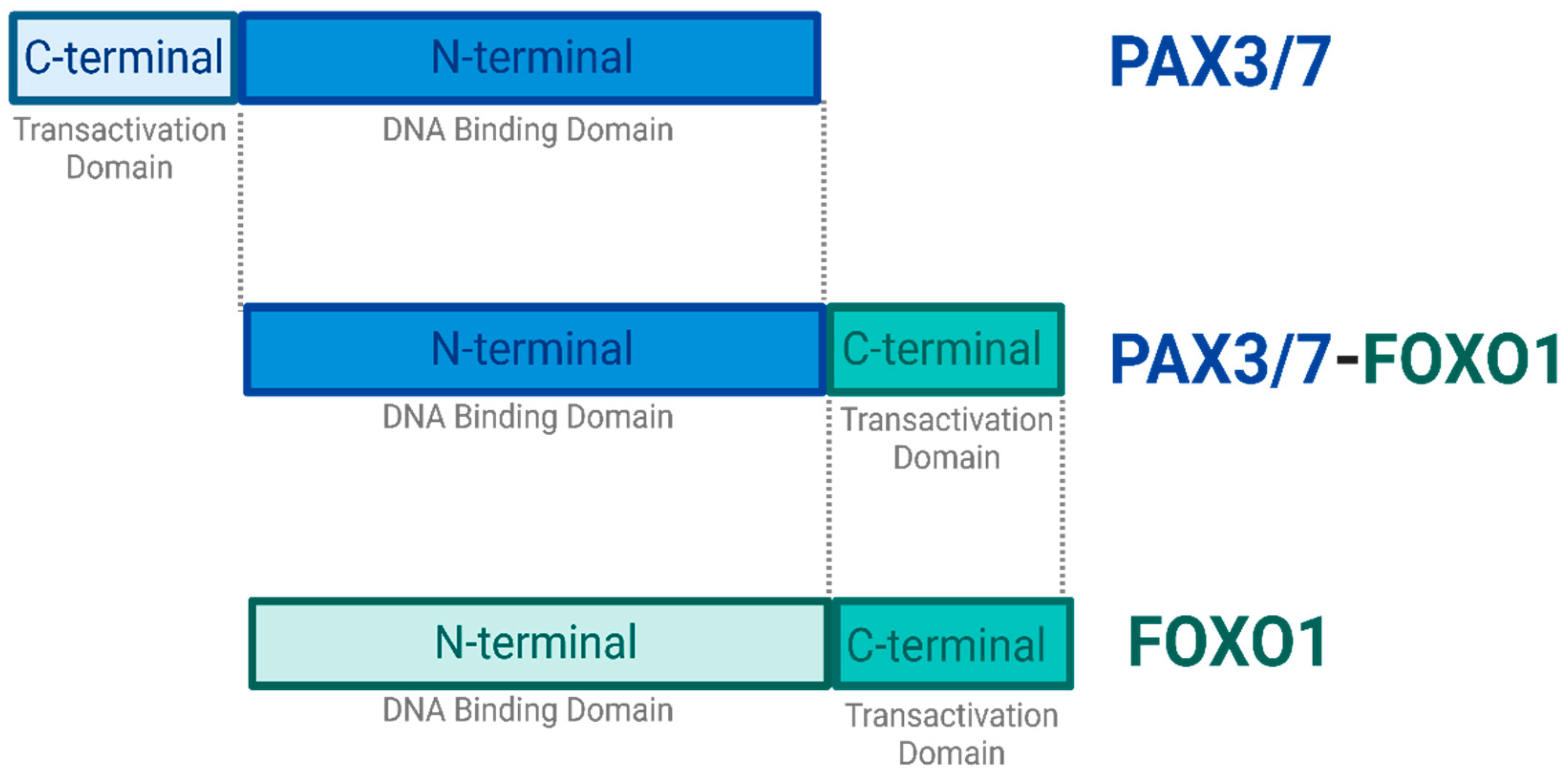 Preprints 97458 g002