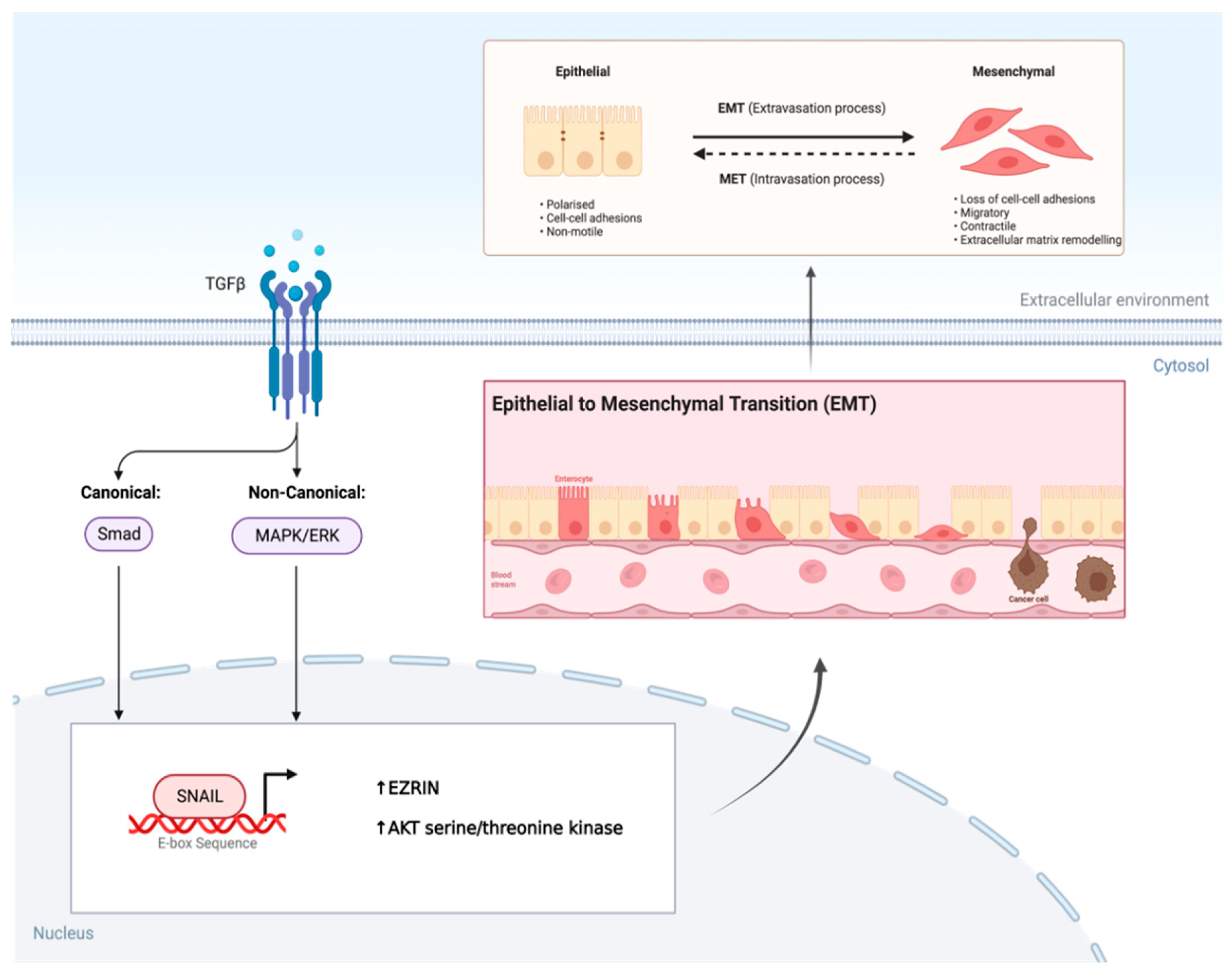 Preprints 97458 g003