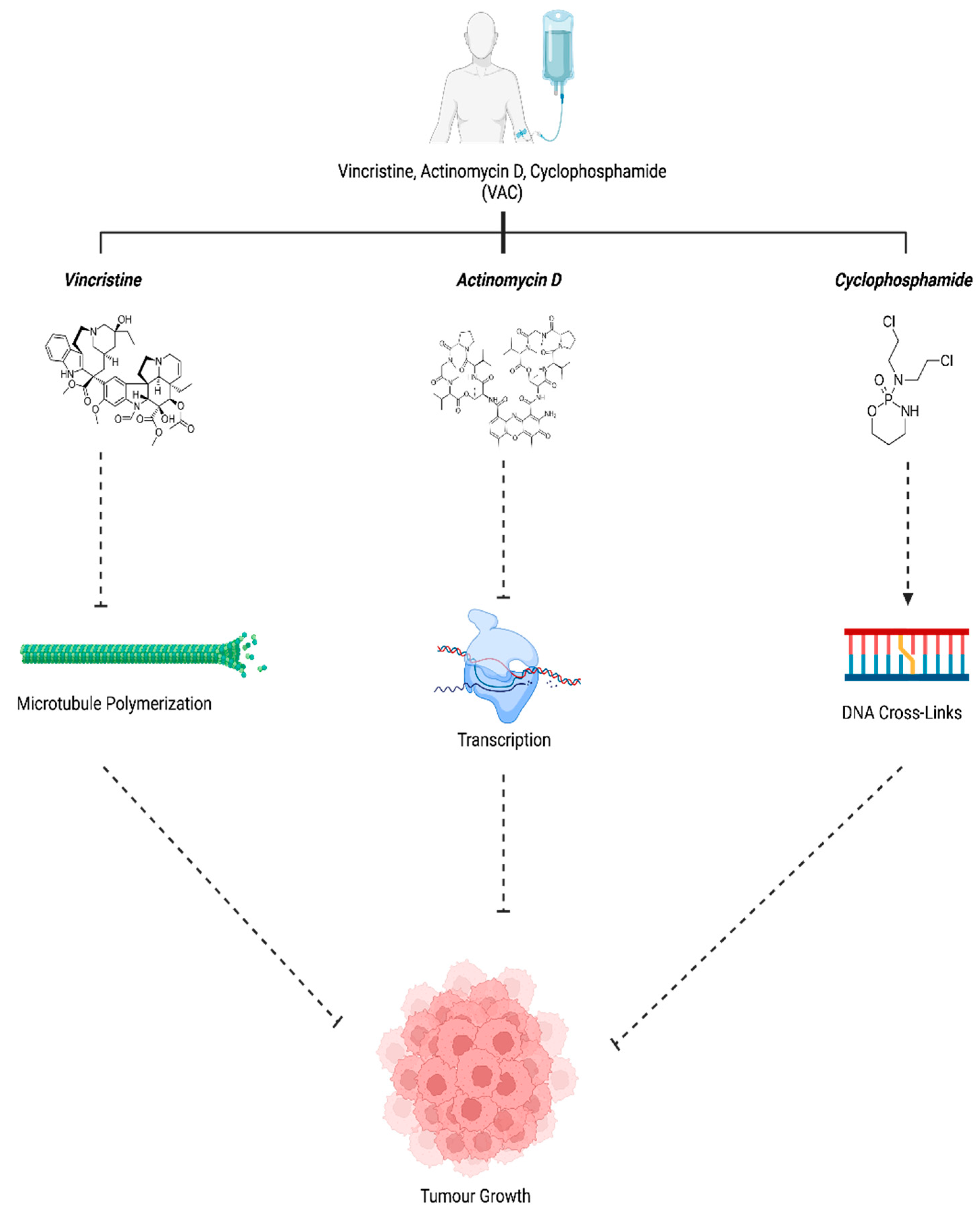 Preprints 97458 g006