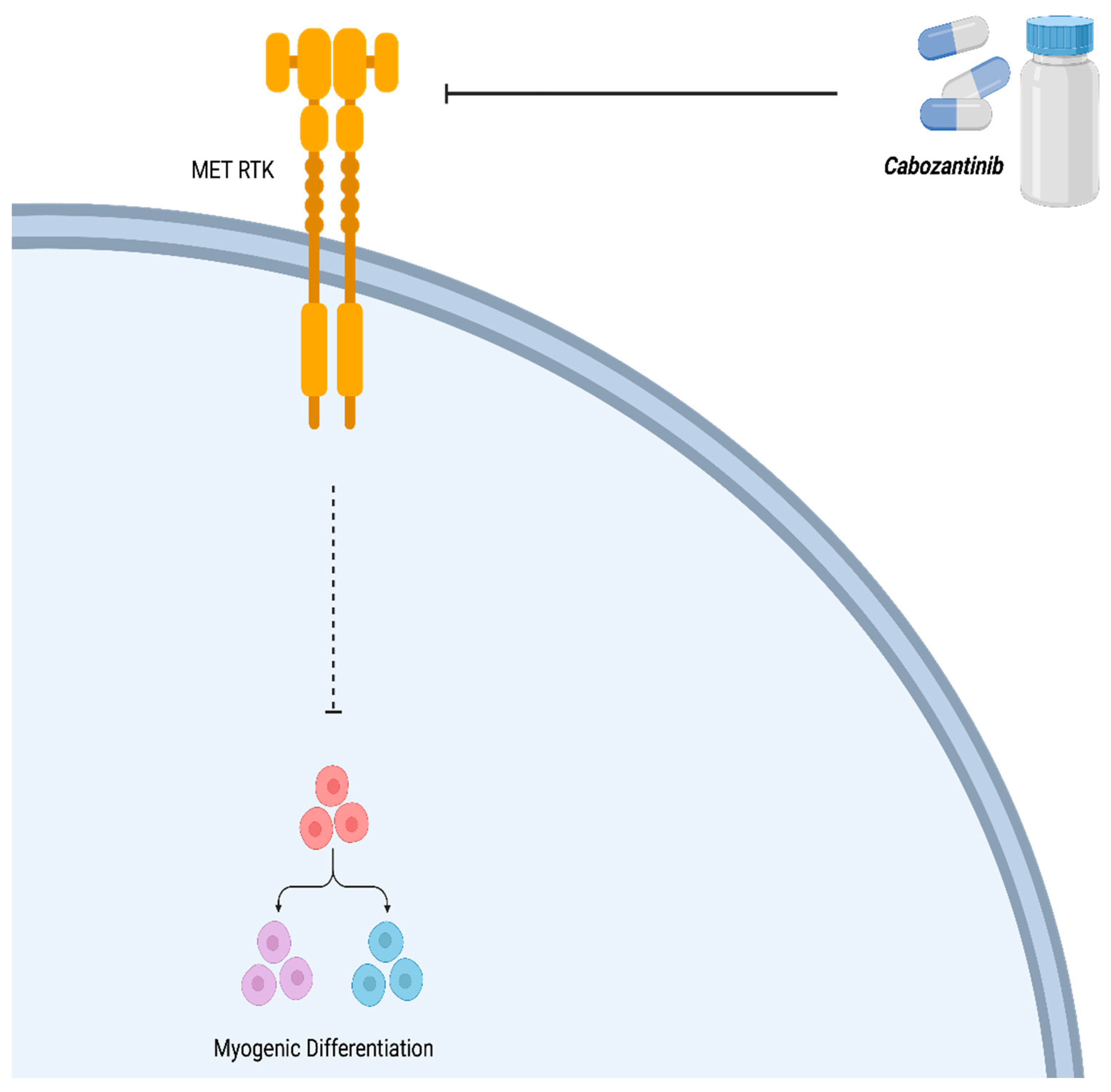 Preprints 97458 g007