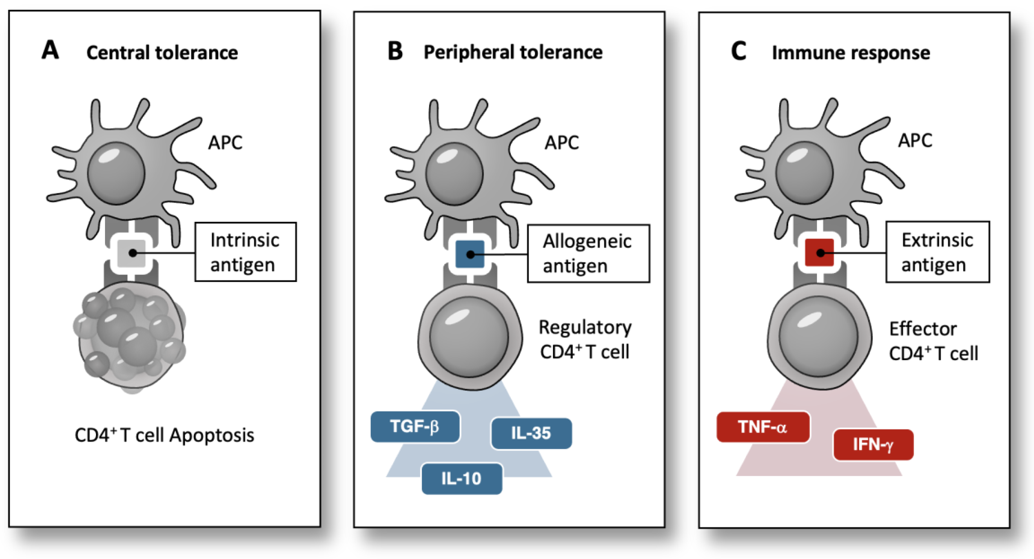 Preprints 102967 g001