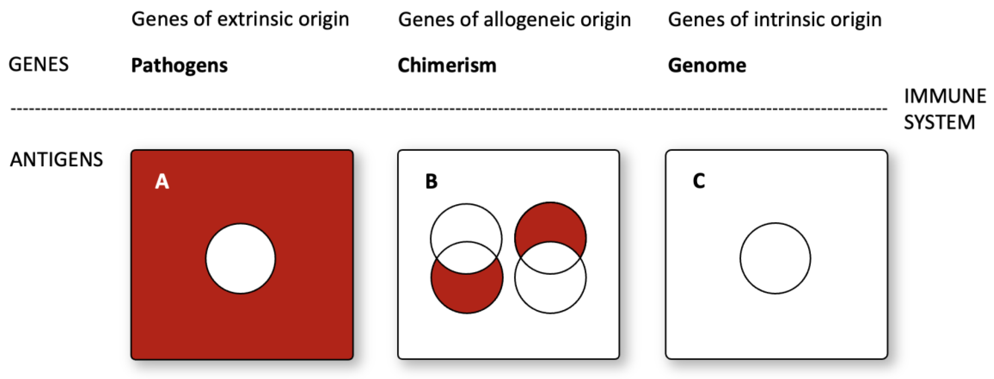 Preprints 102967 g002