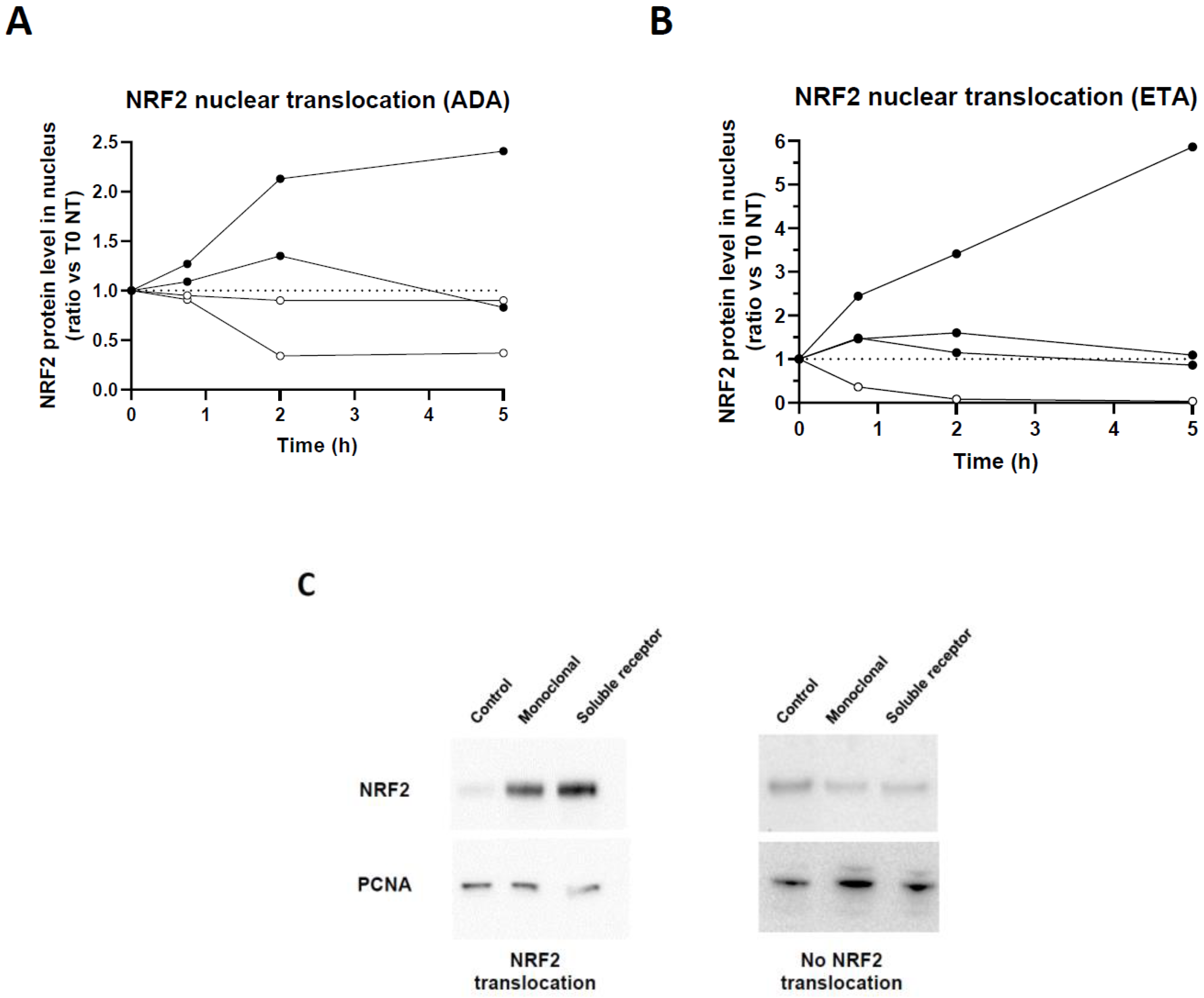 Preprints 100217 g001