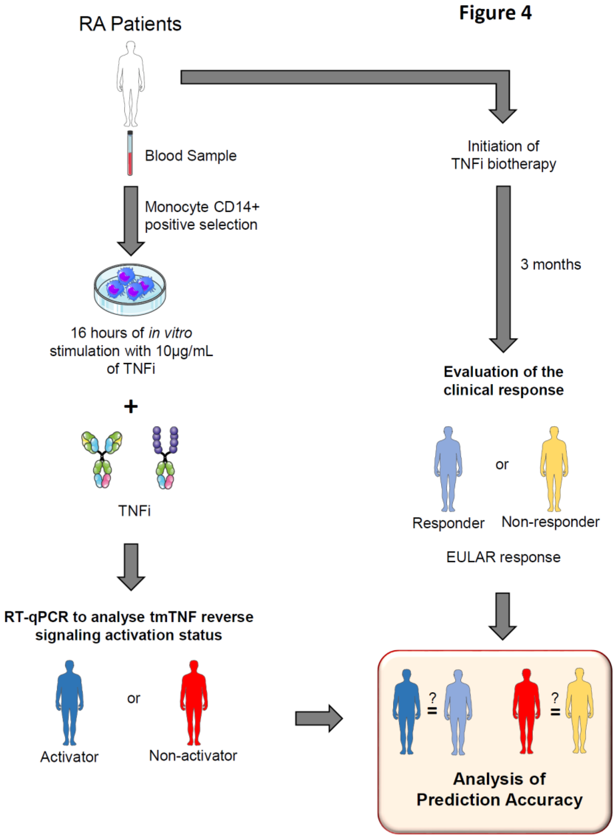 Preprints 100217 g004