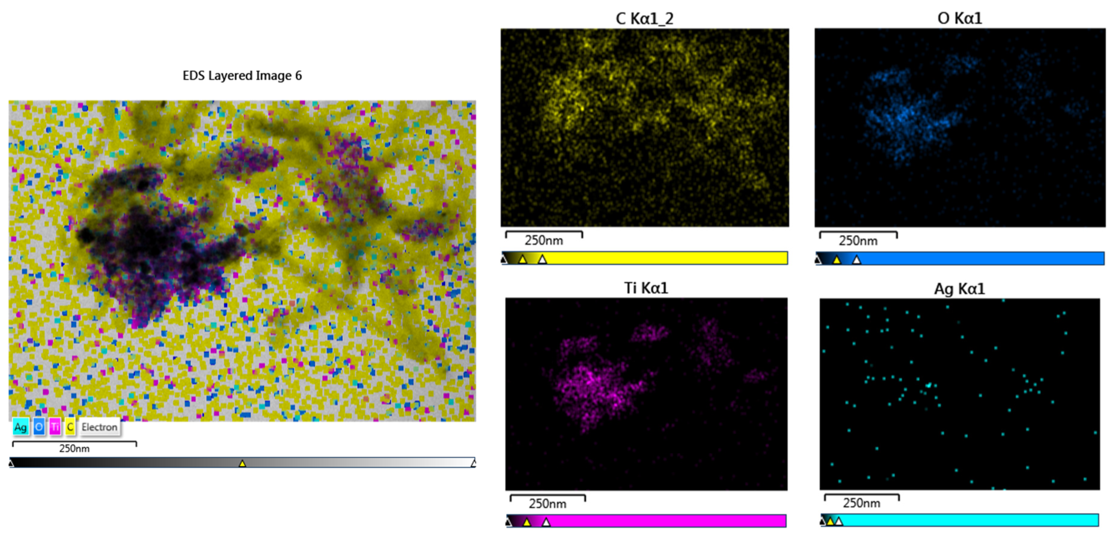 Preprints 73023 g010