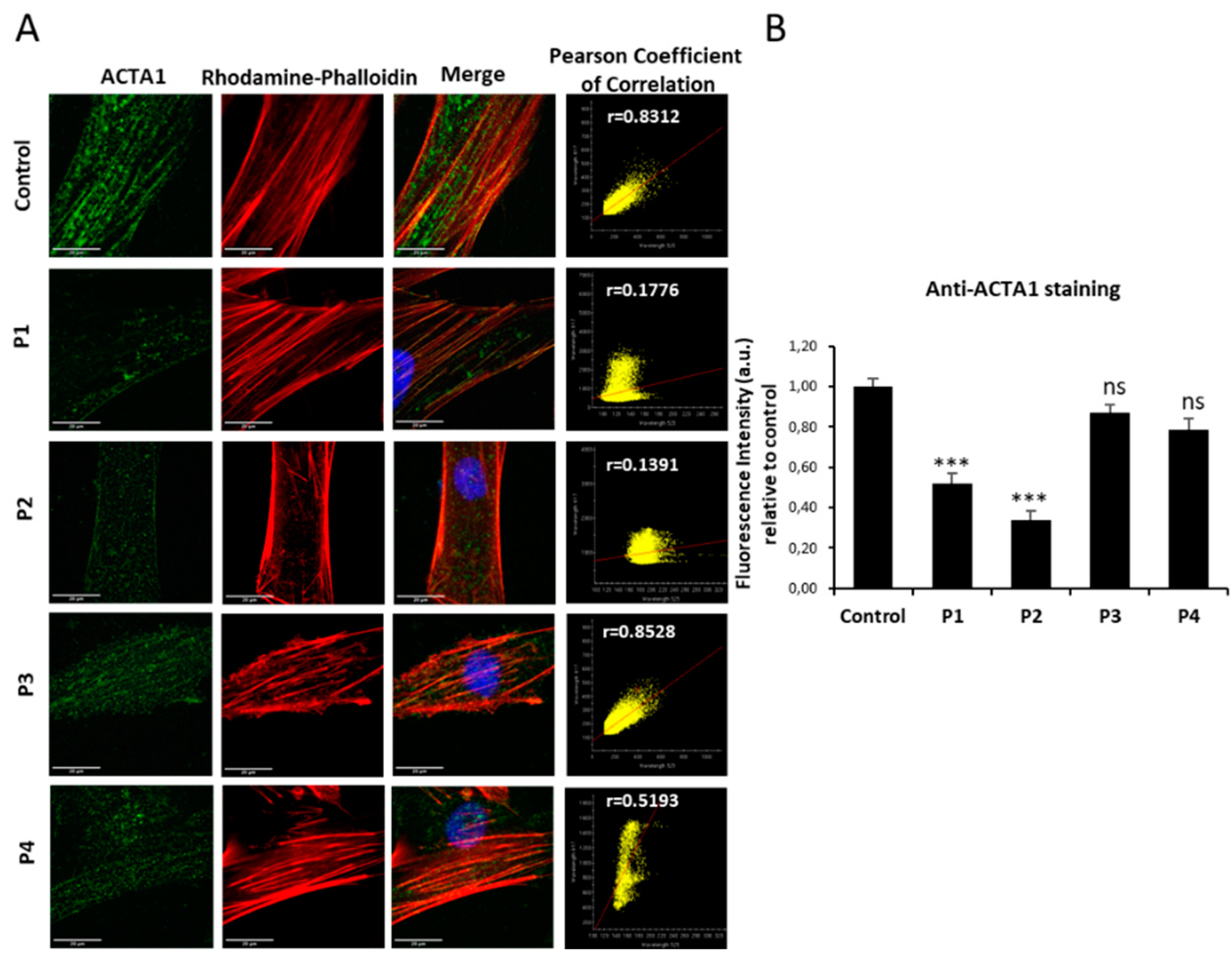 Preprints 89669 g001