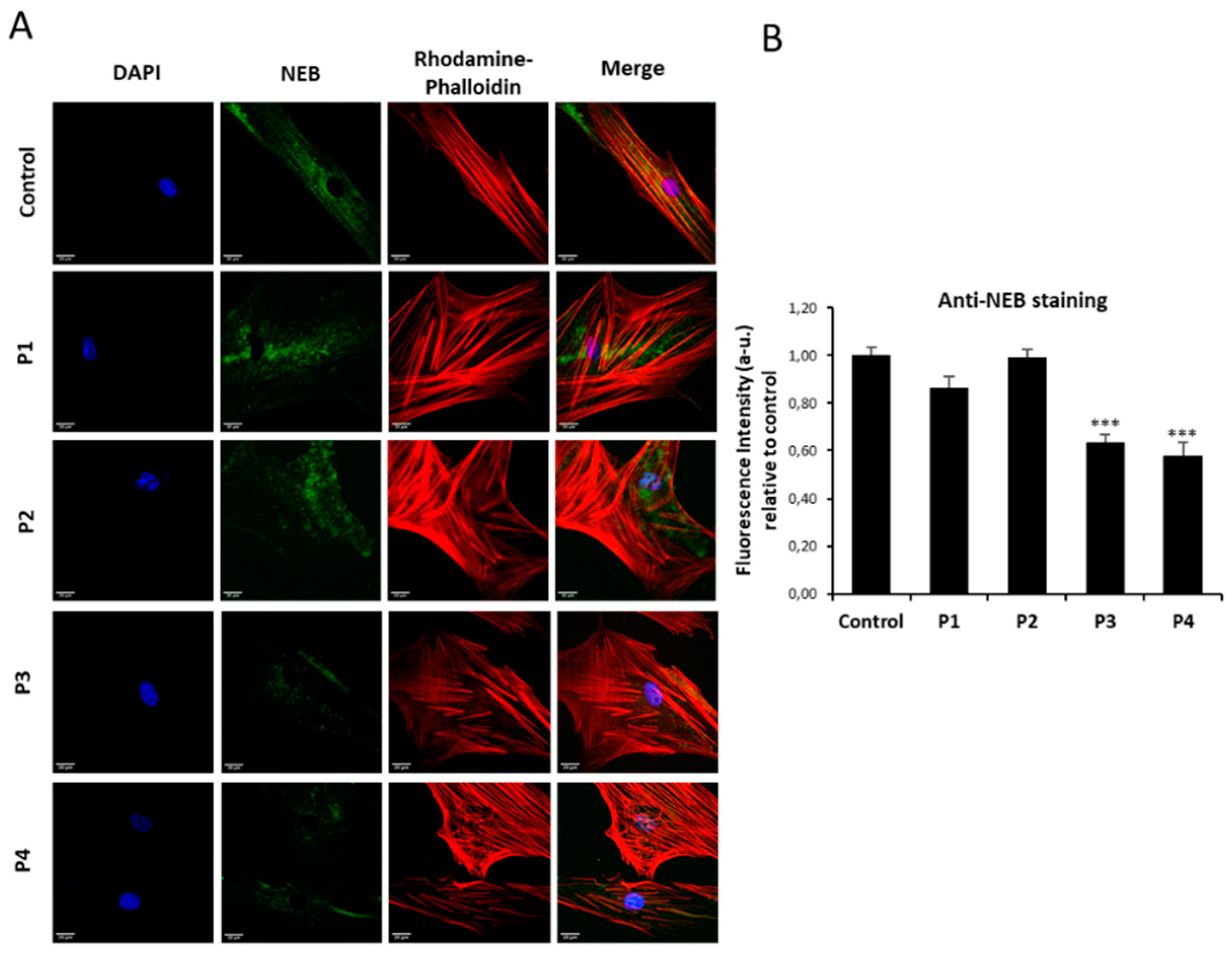 Preprints 89669 g002