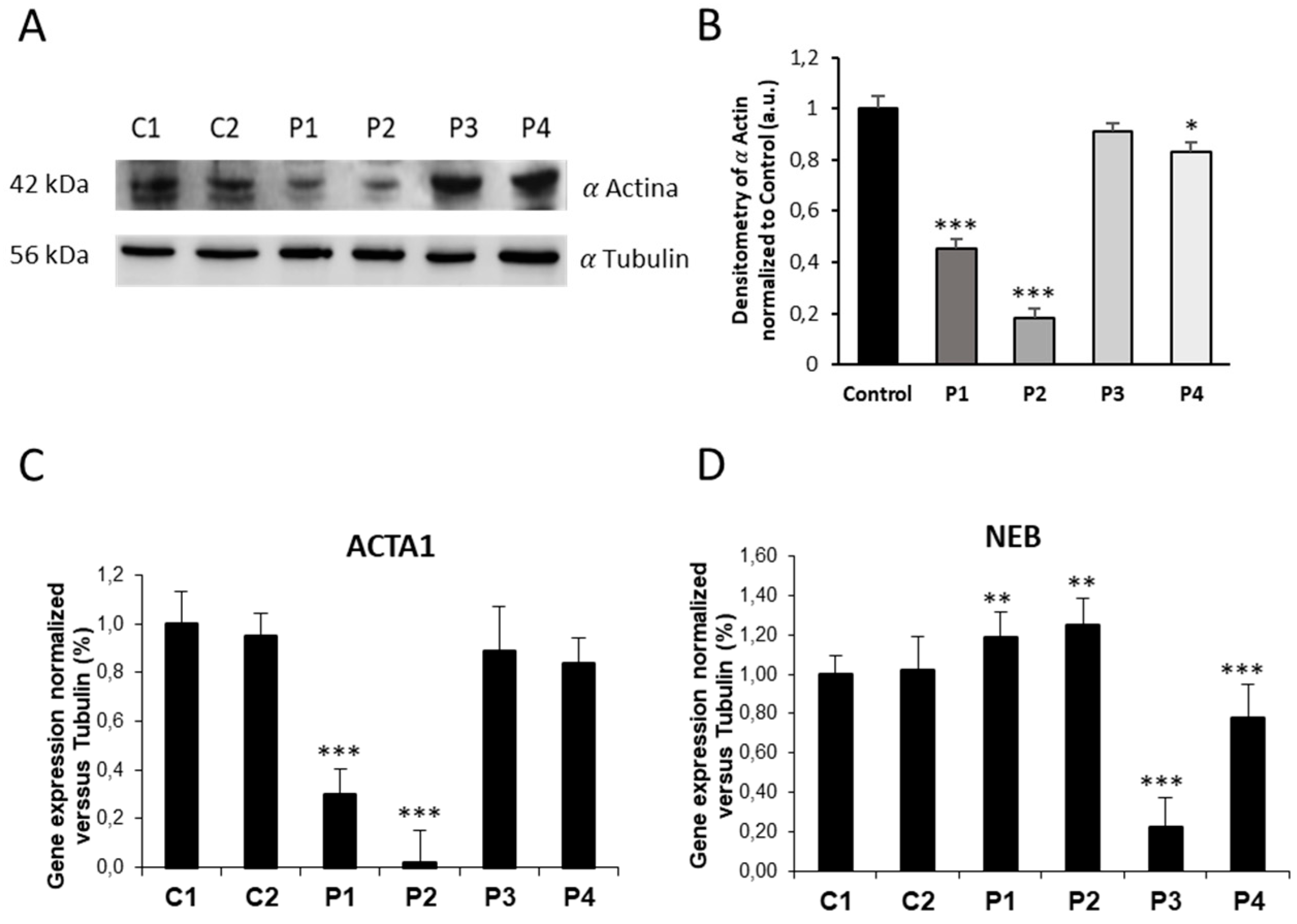 Preprints 89669 g003