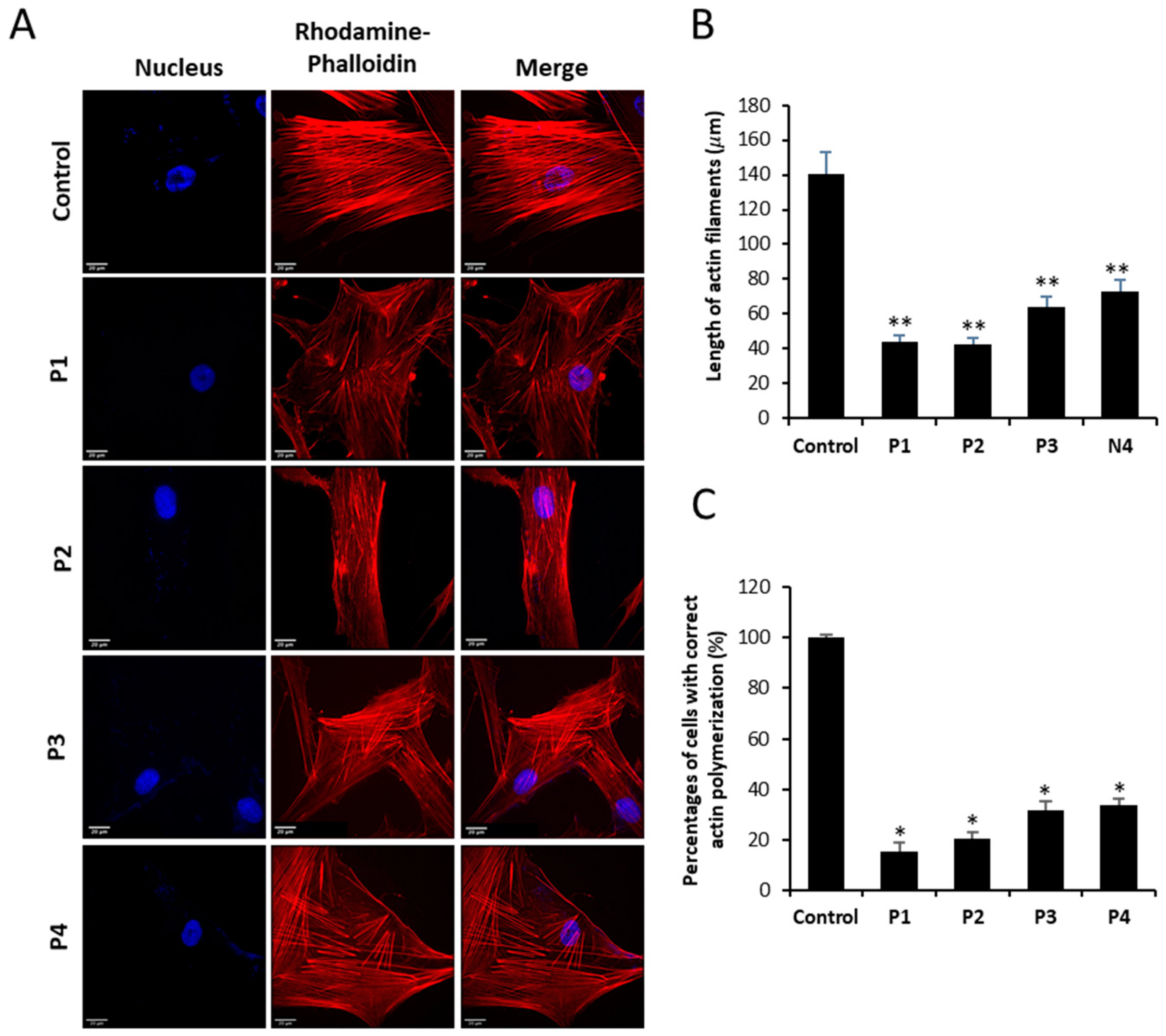 Preprints 89669 g004