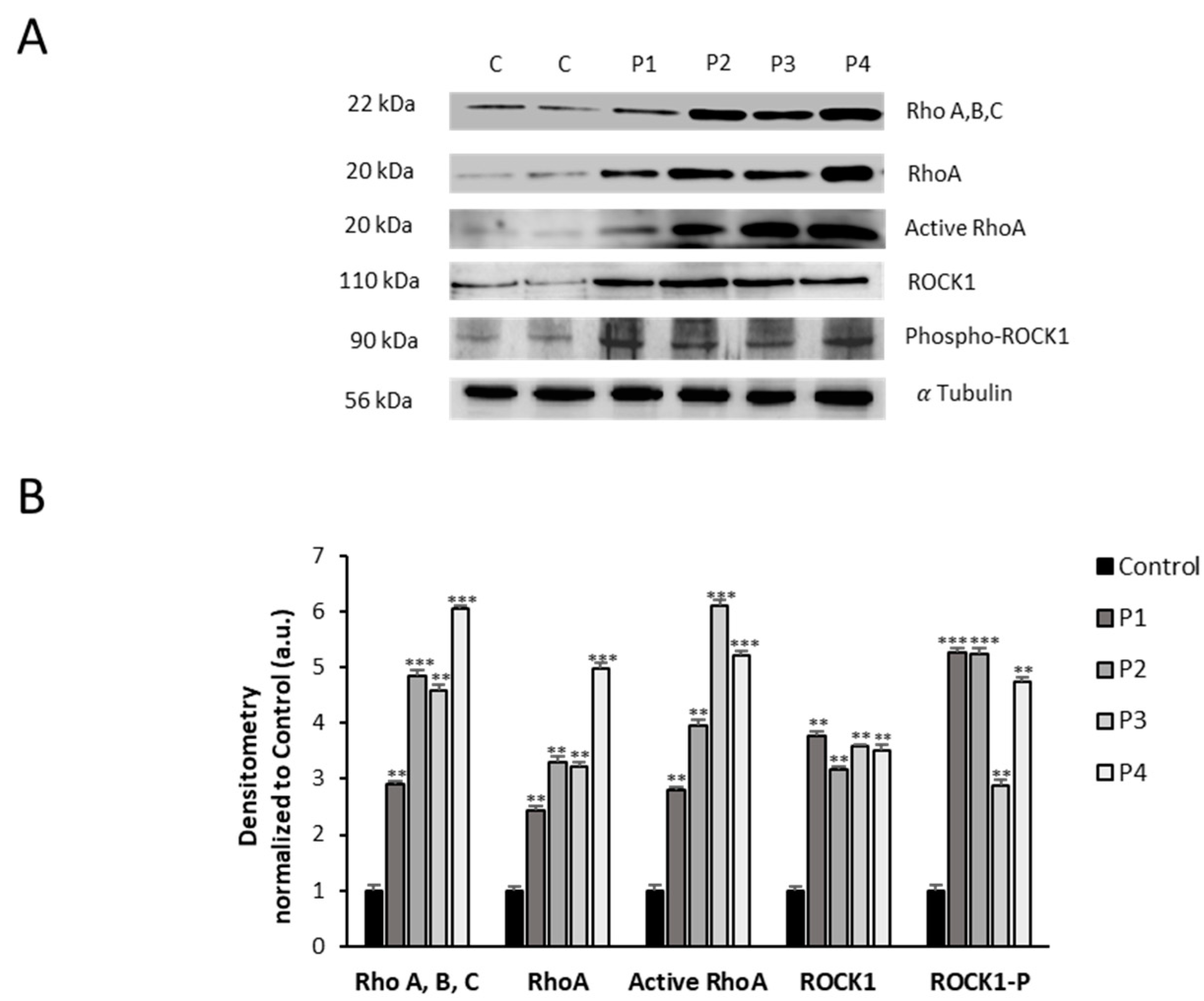 Preprints 89669 g005