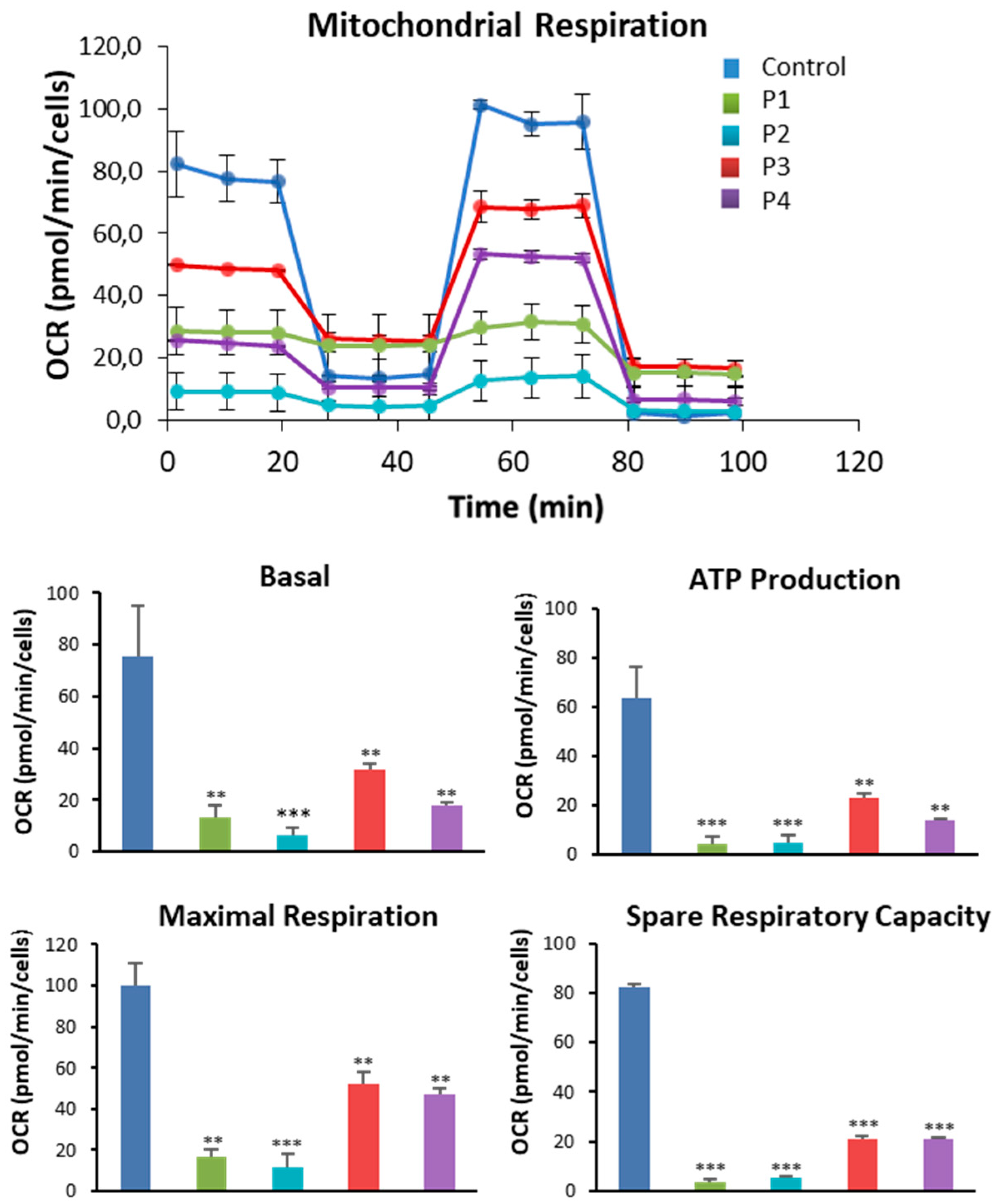 Preprints 89669 g006