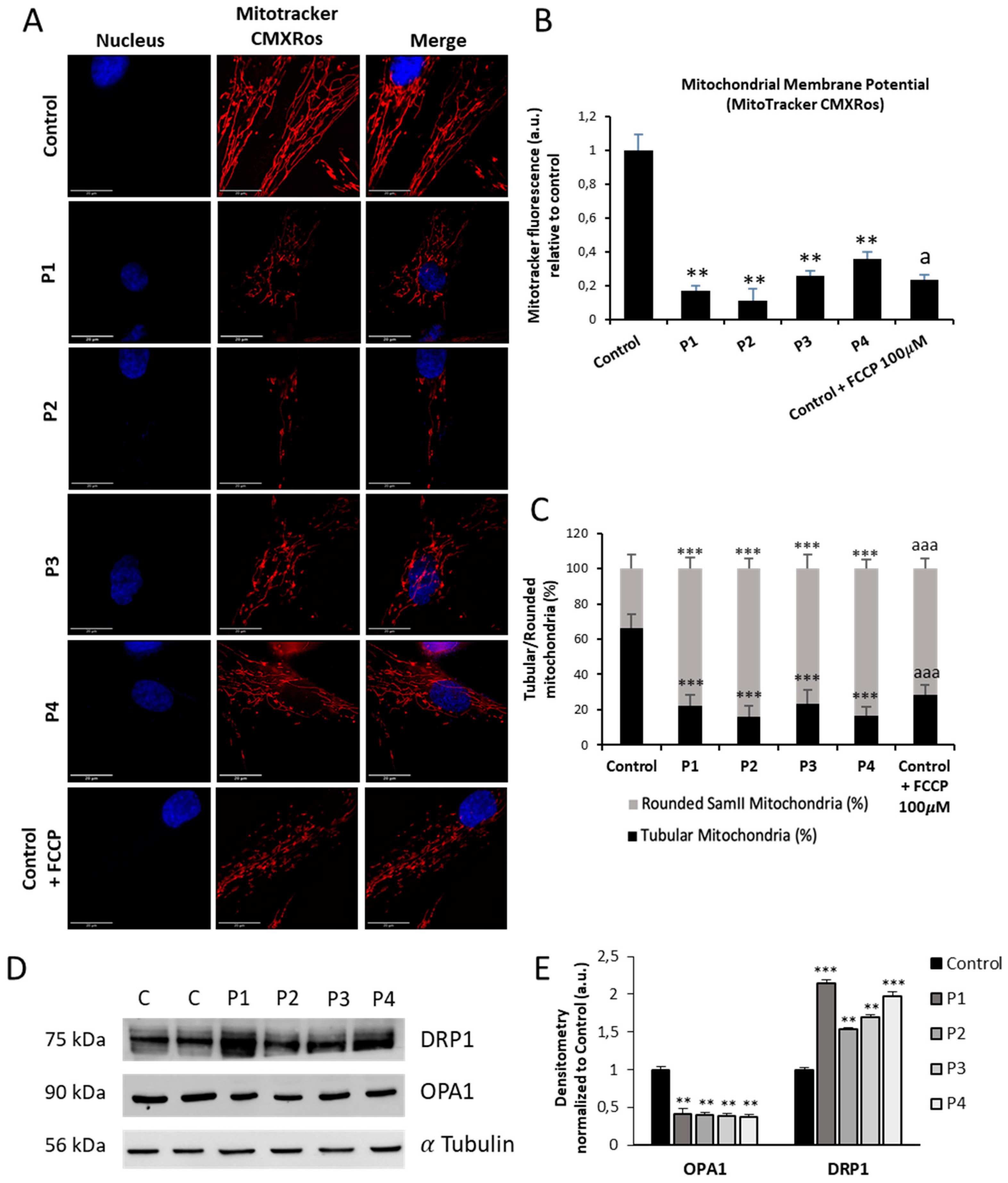 Preprints 89669 g007