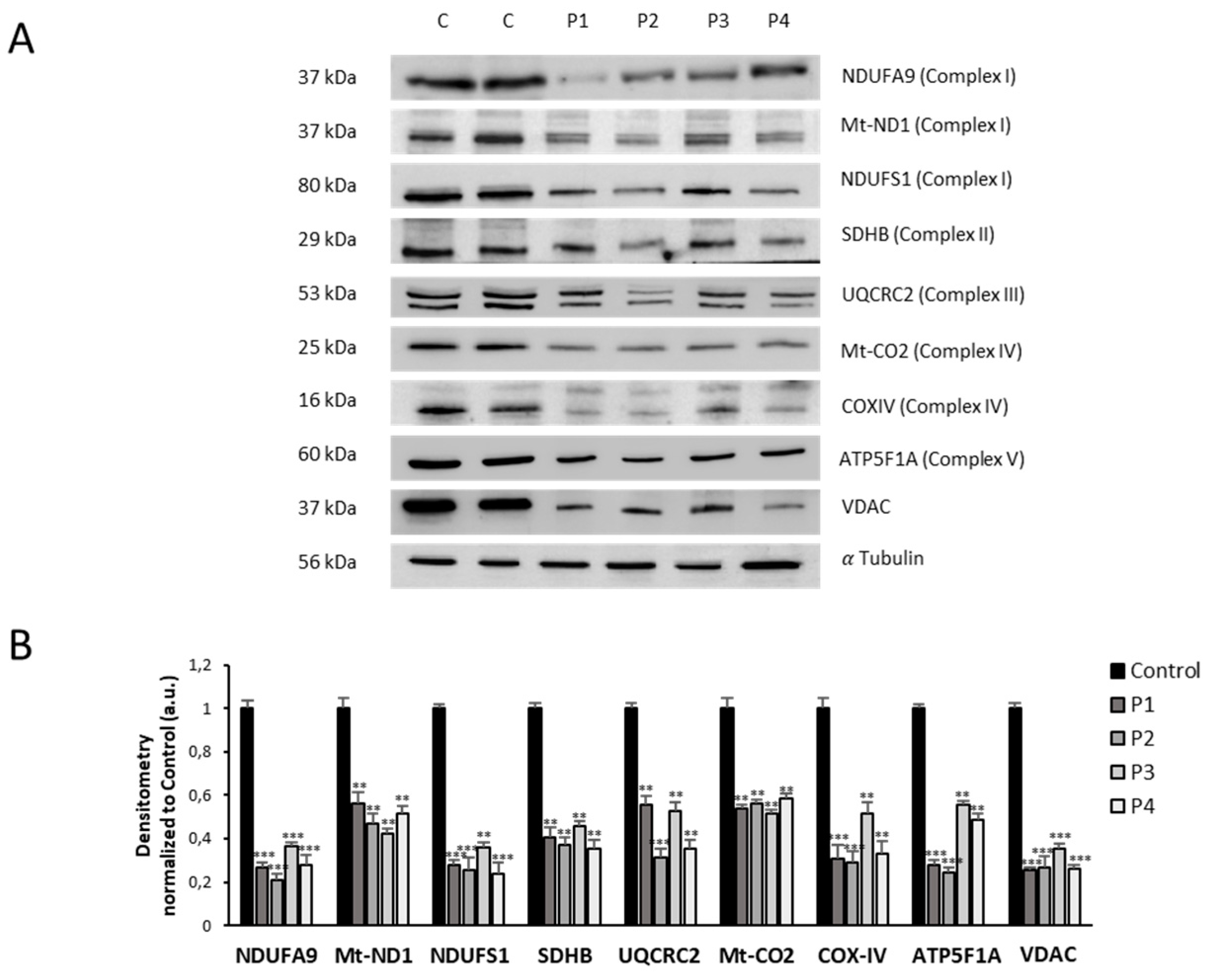 Preprints 89669 g008