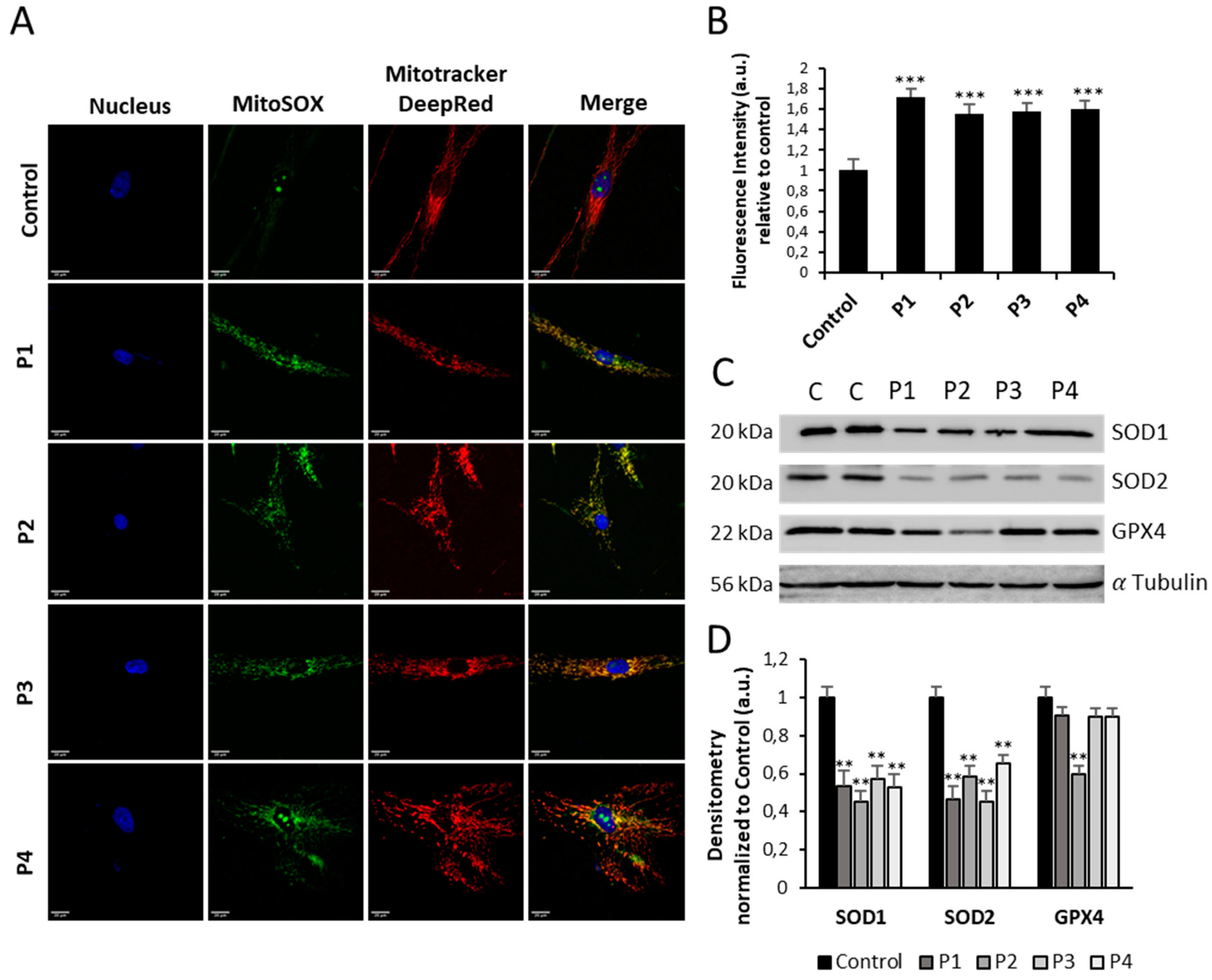 Preprints 89669 g009