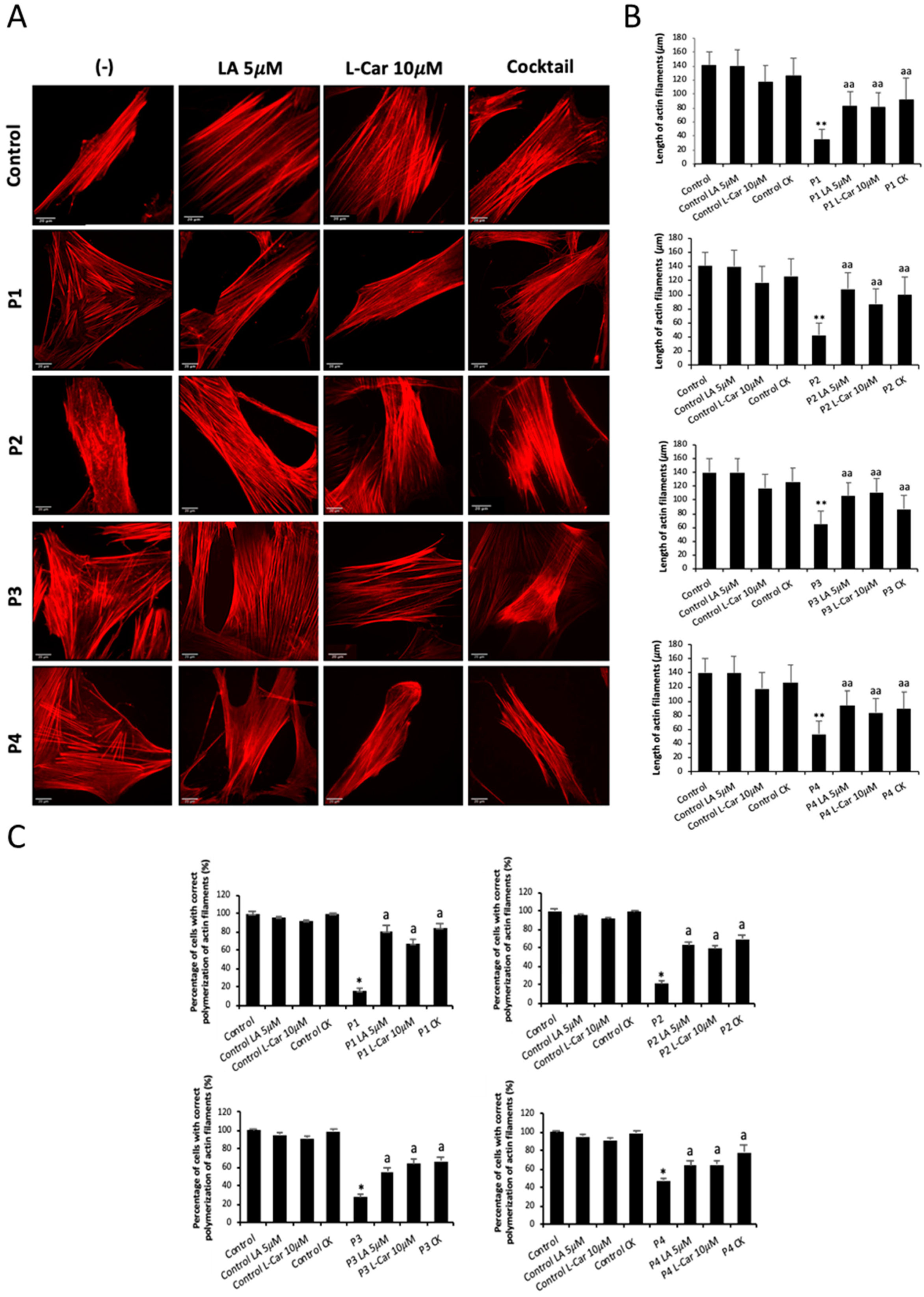 Preprints 89669 g010