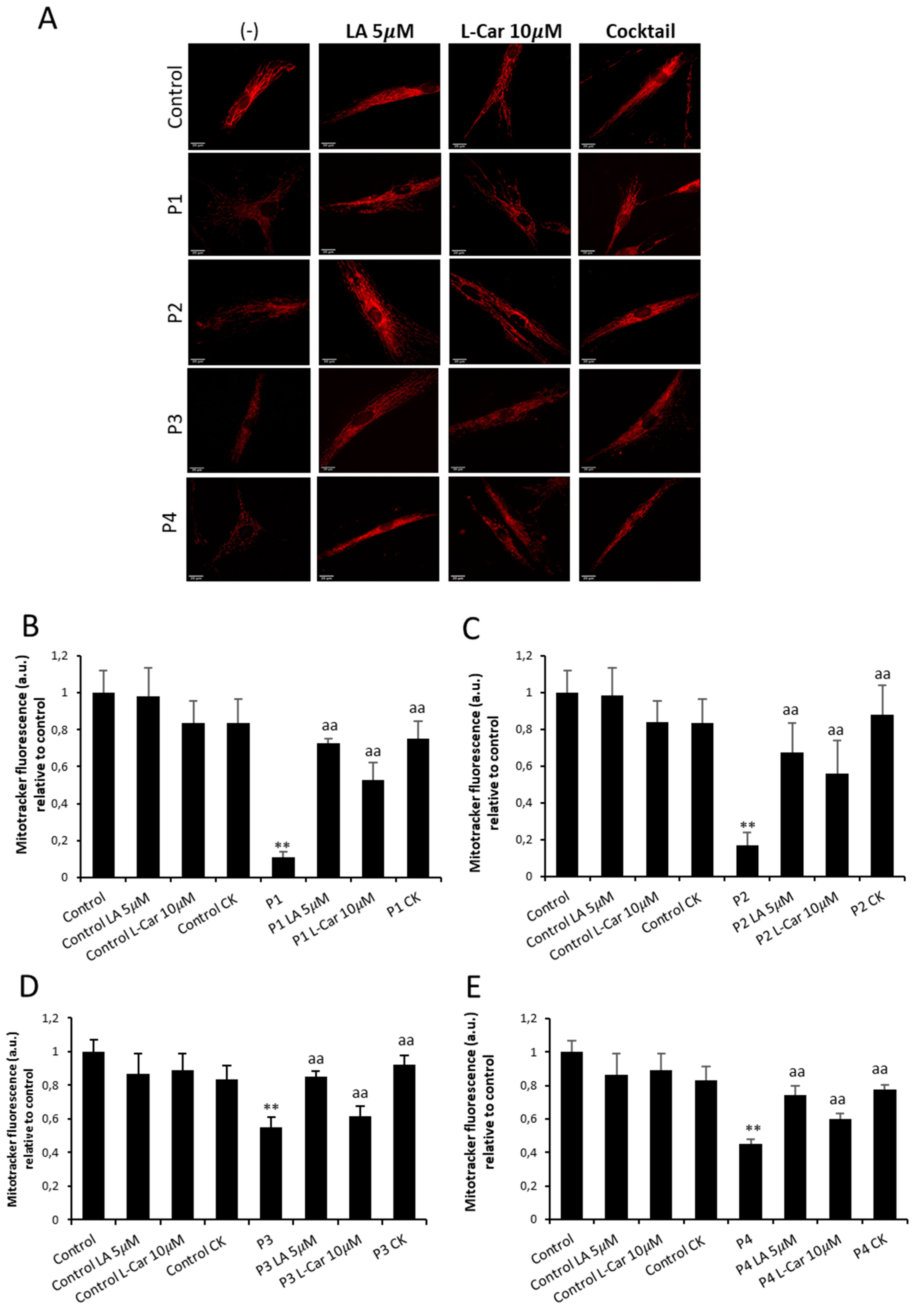 Preprints 89669 g012