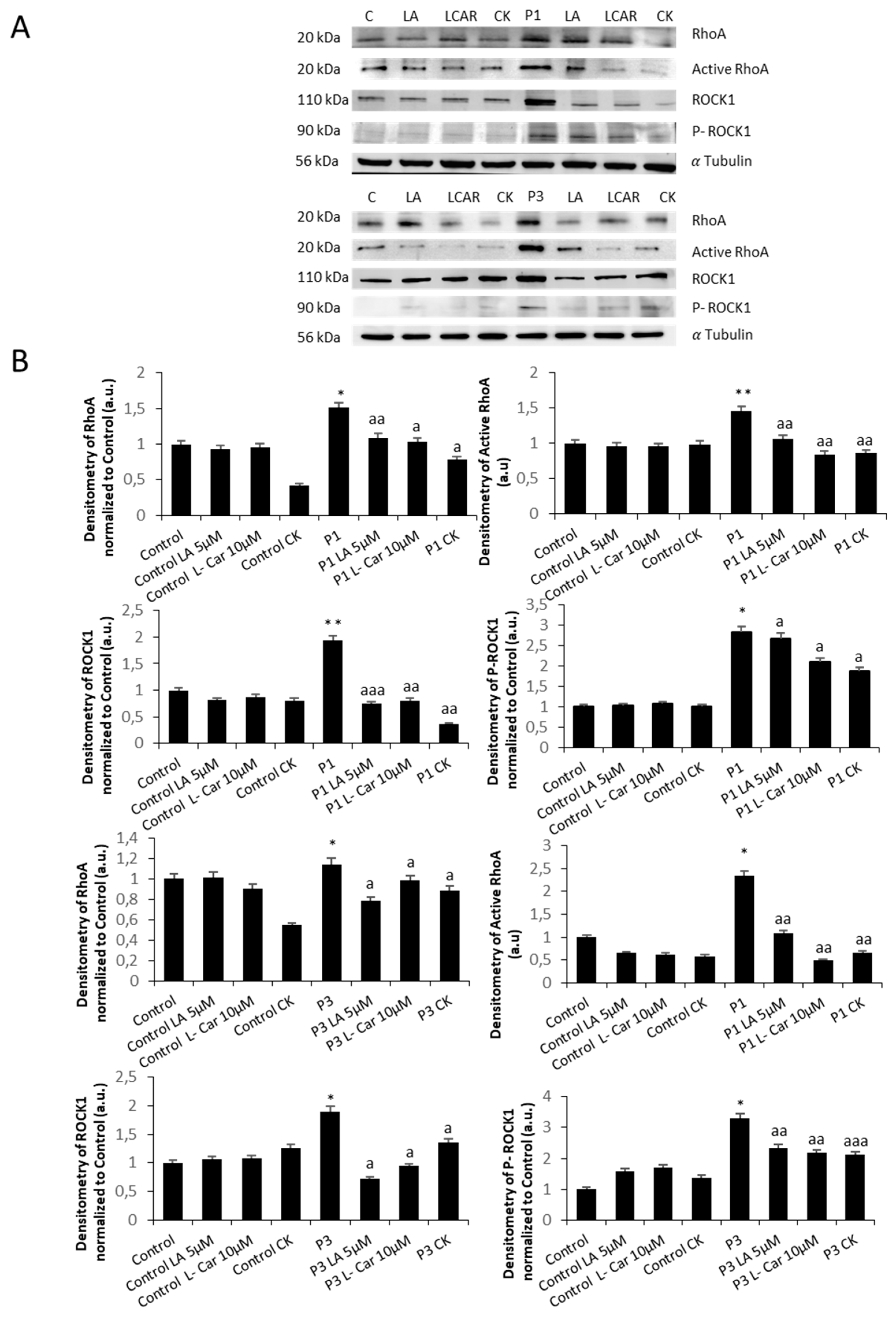 Preprints 89669 g014