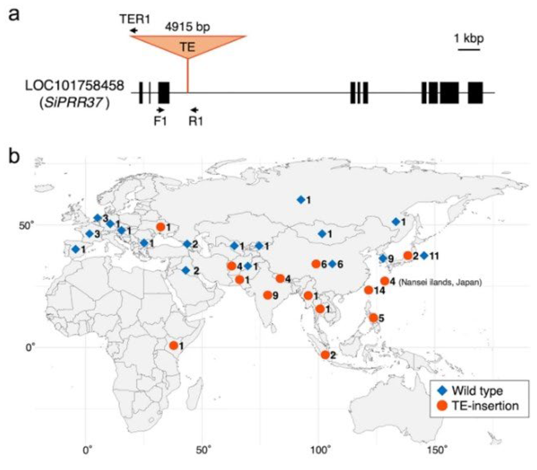 Preprints 92896 g005