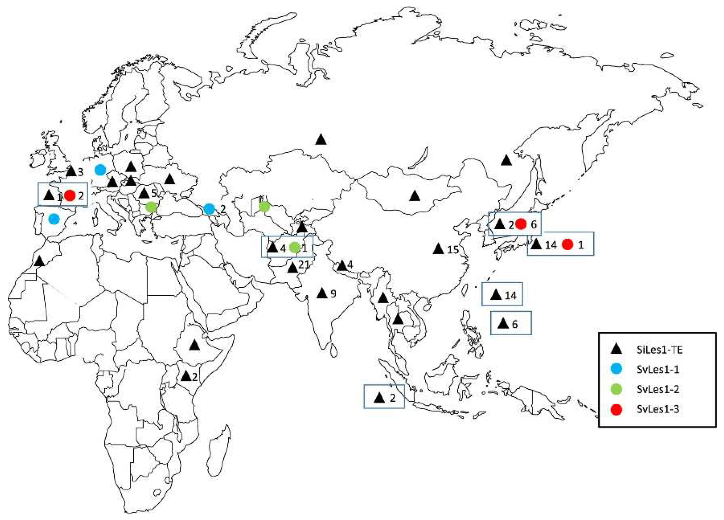 Preprints 92896 g006