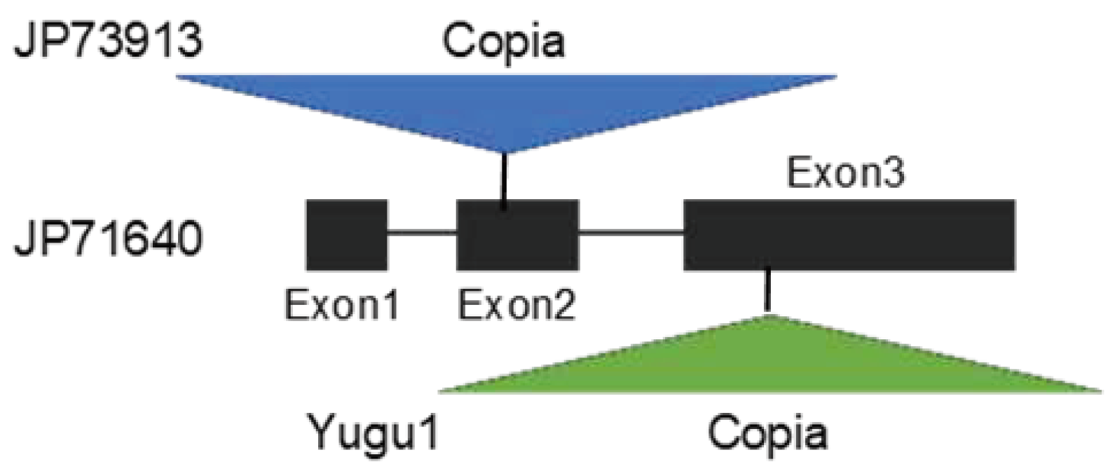 Preprints 92896 g007