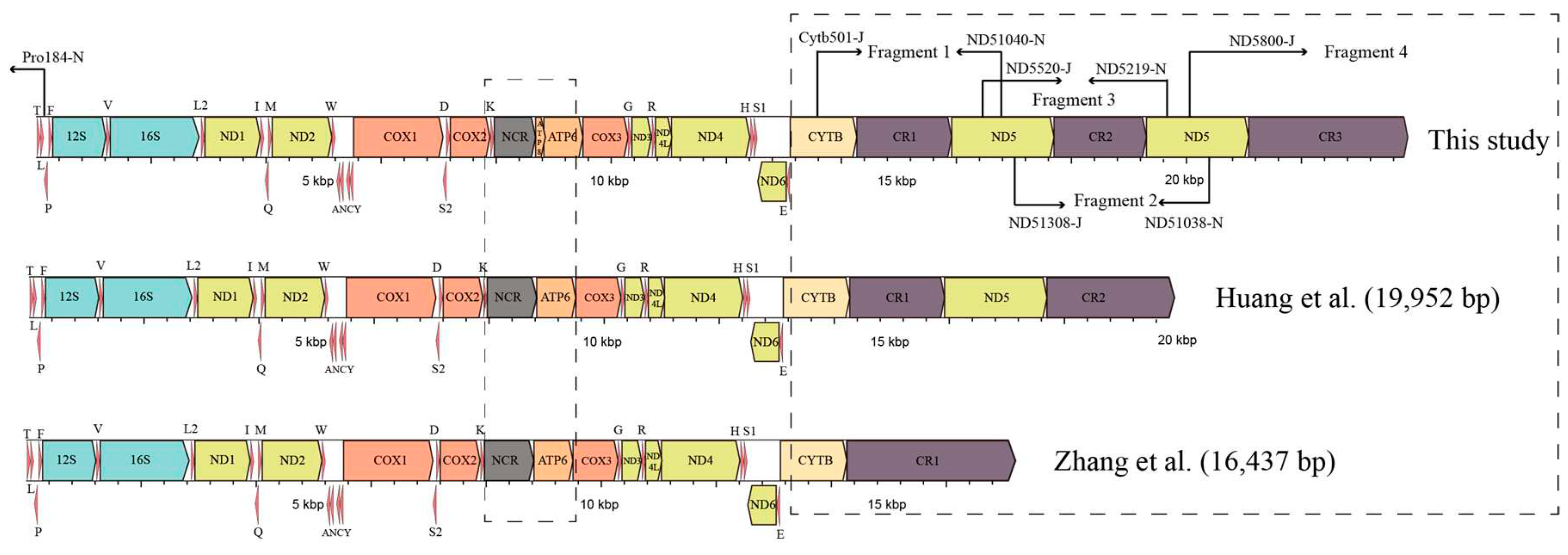 Preprints 83545 g001