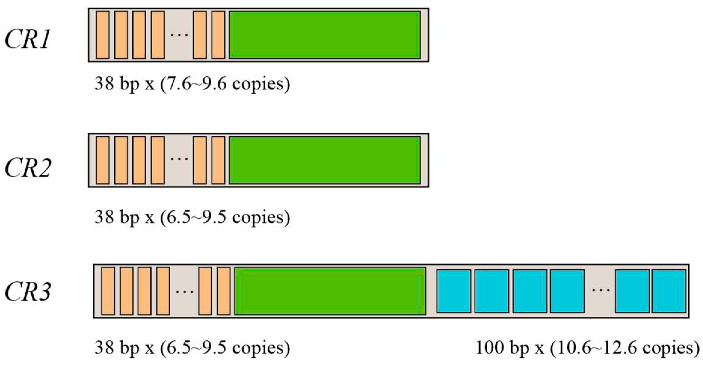 Preprints 83545 g002