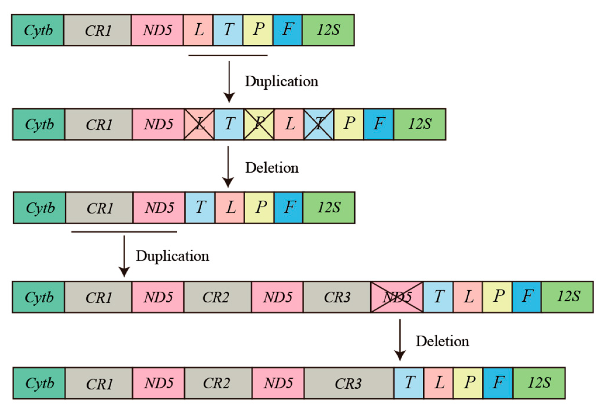 Preprints 83545 g008