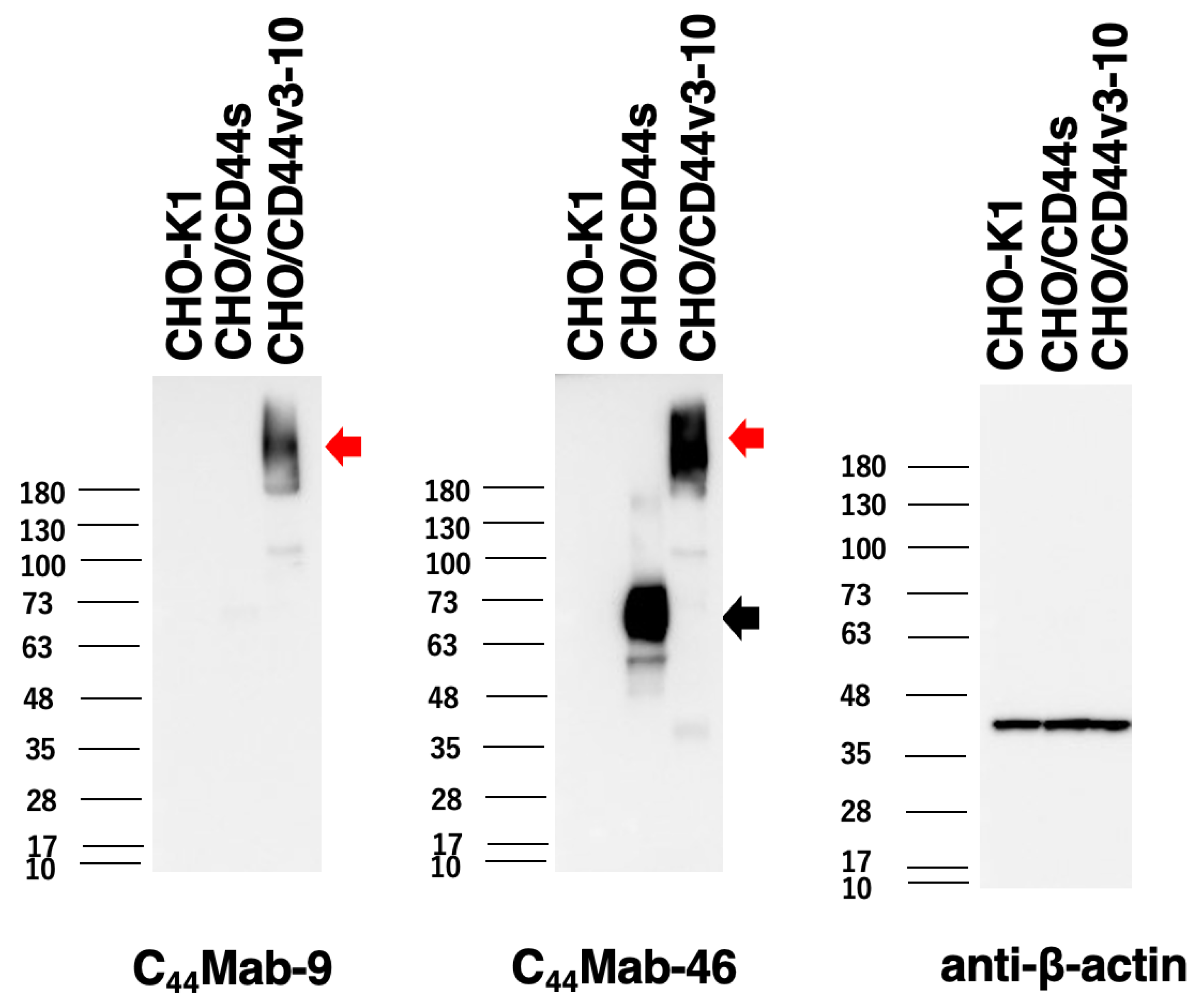 Preprints 67075 g004