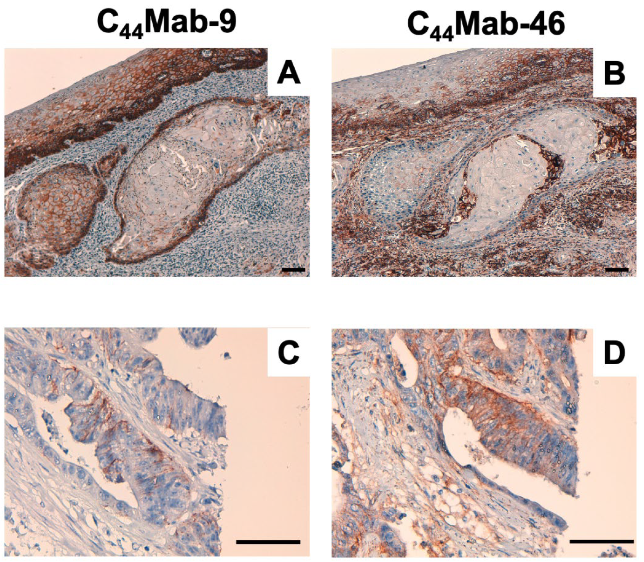 Preprints 67075 g005