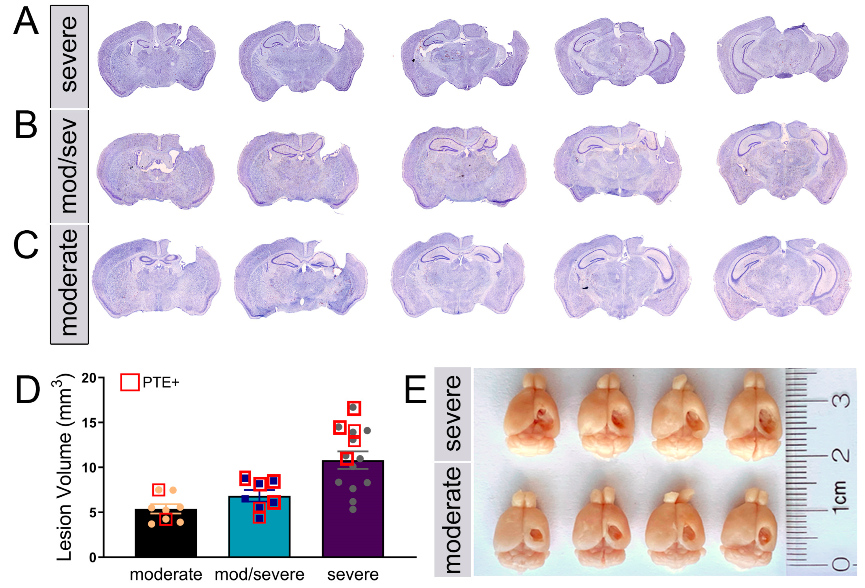 Preprints 68409 g002