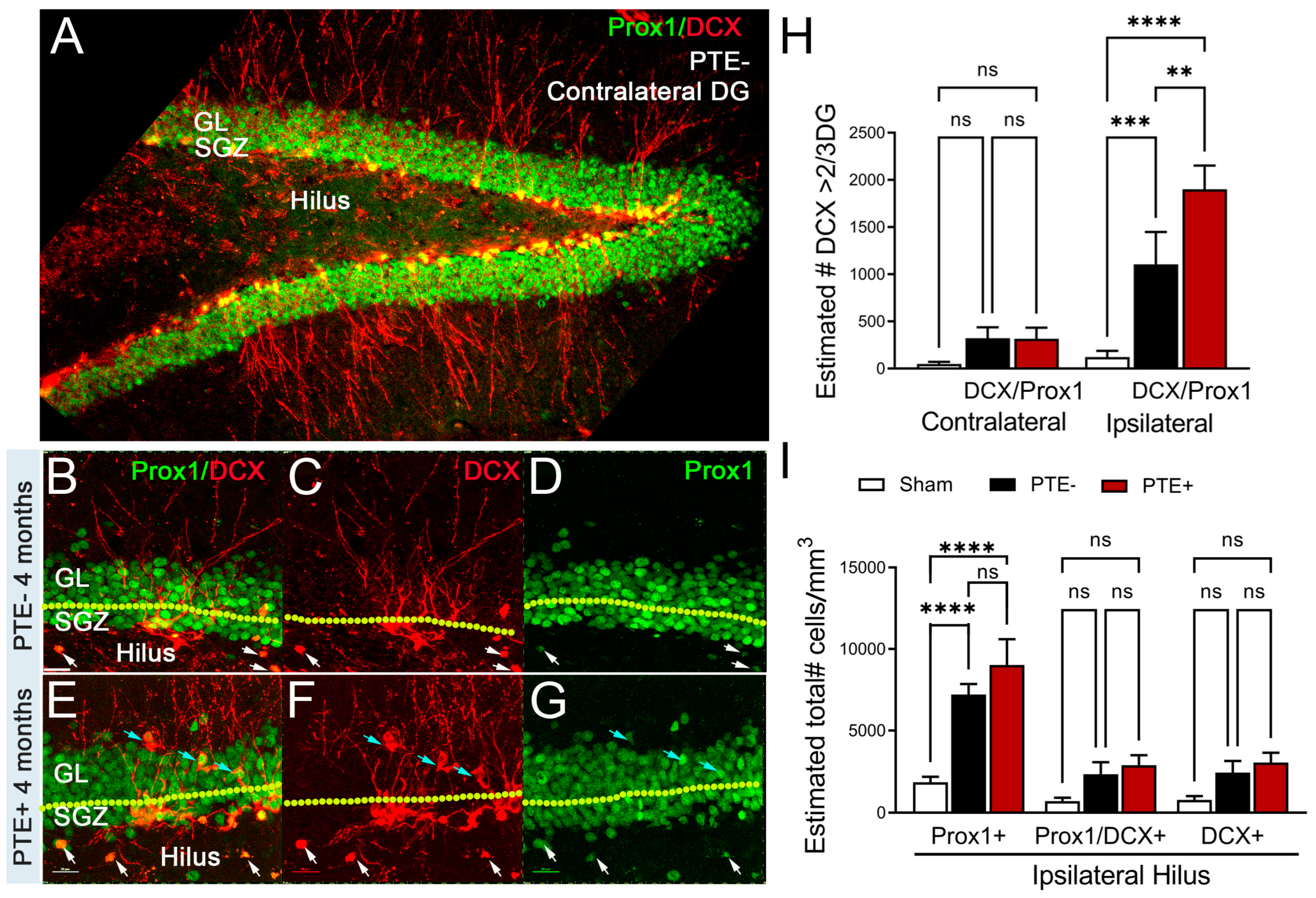 Preprints 68409 g003