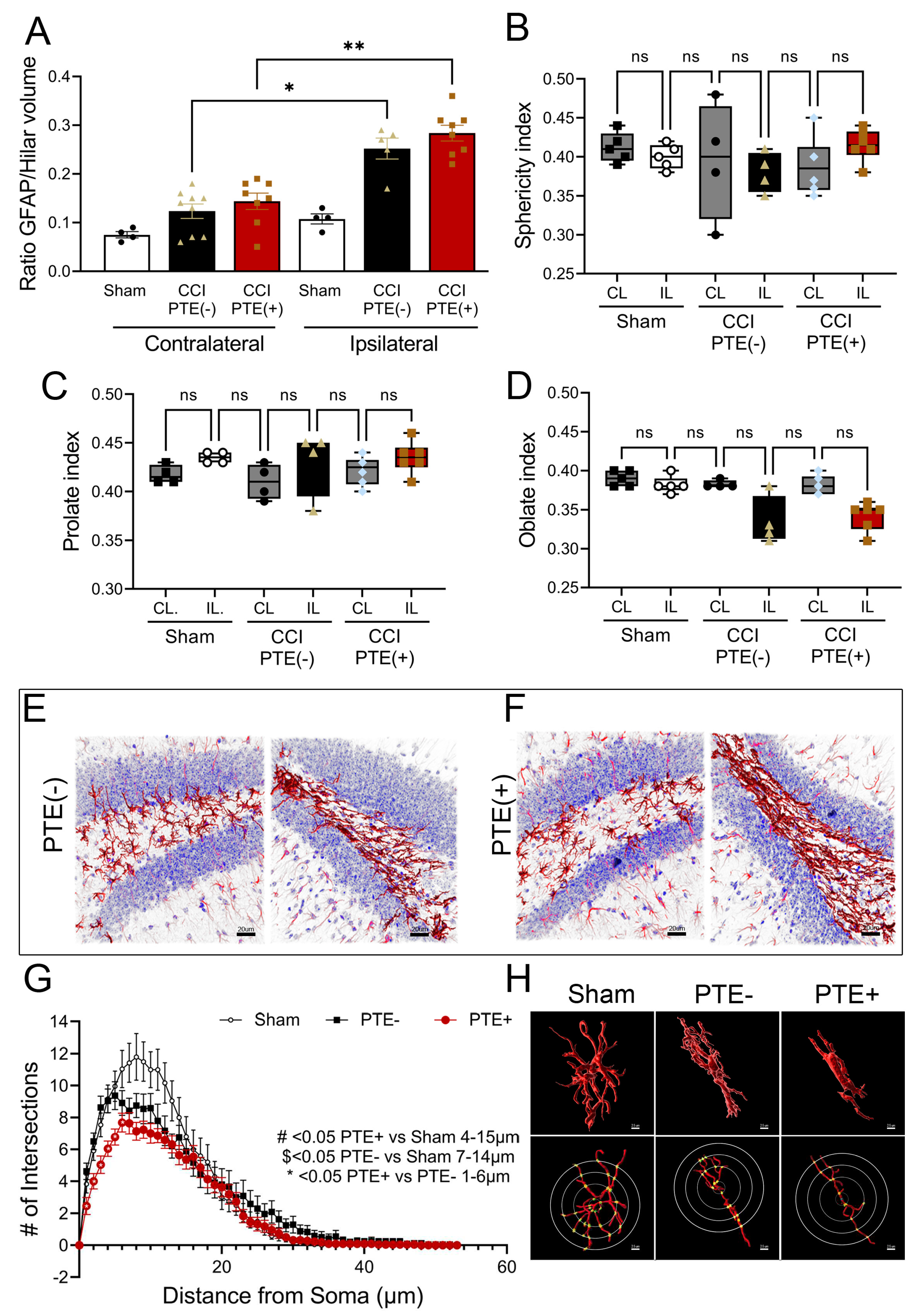 Preprints 68409 g006