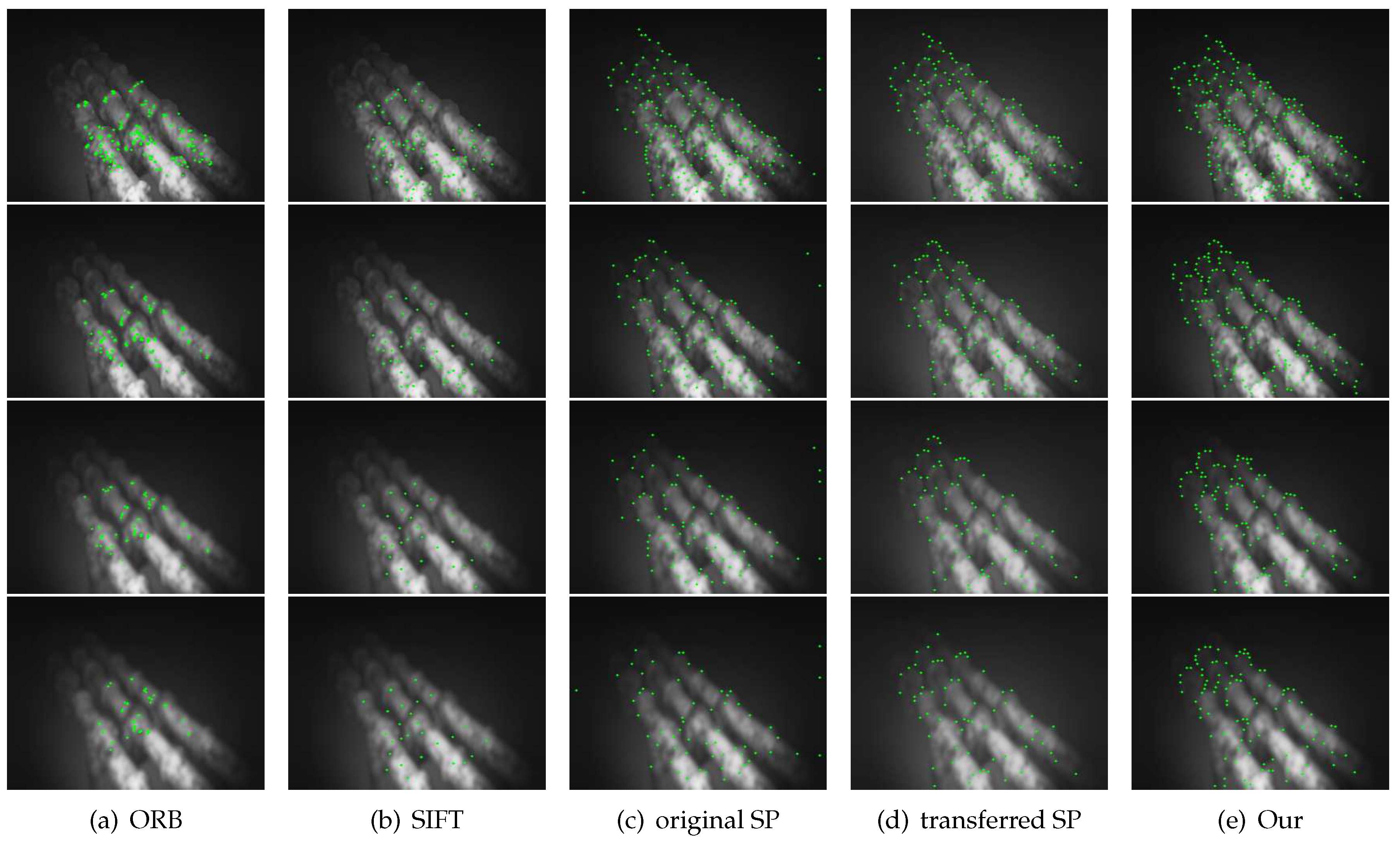 Preprints 87809 g011