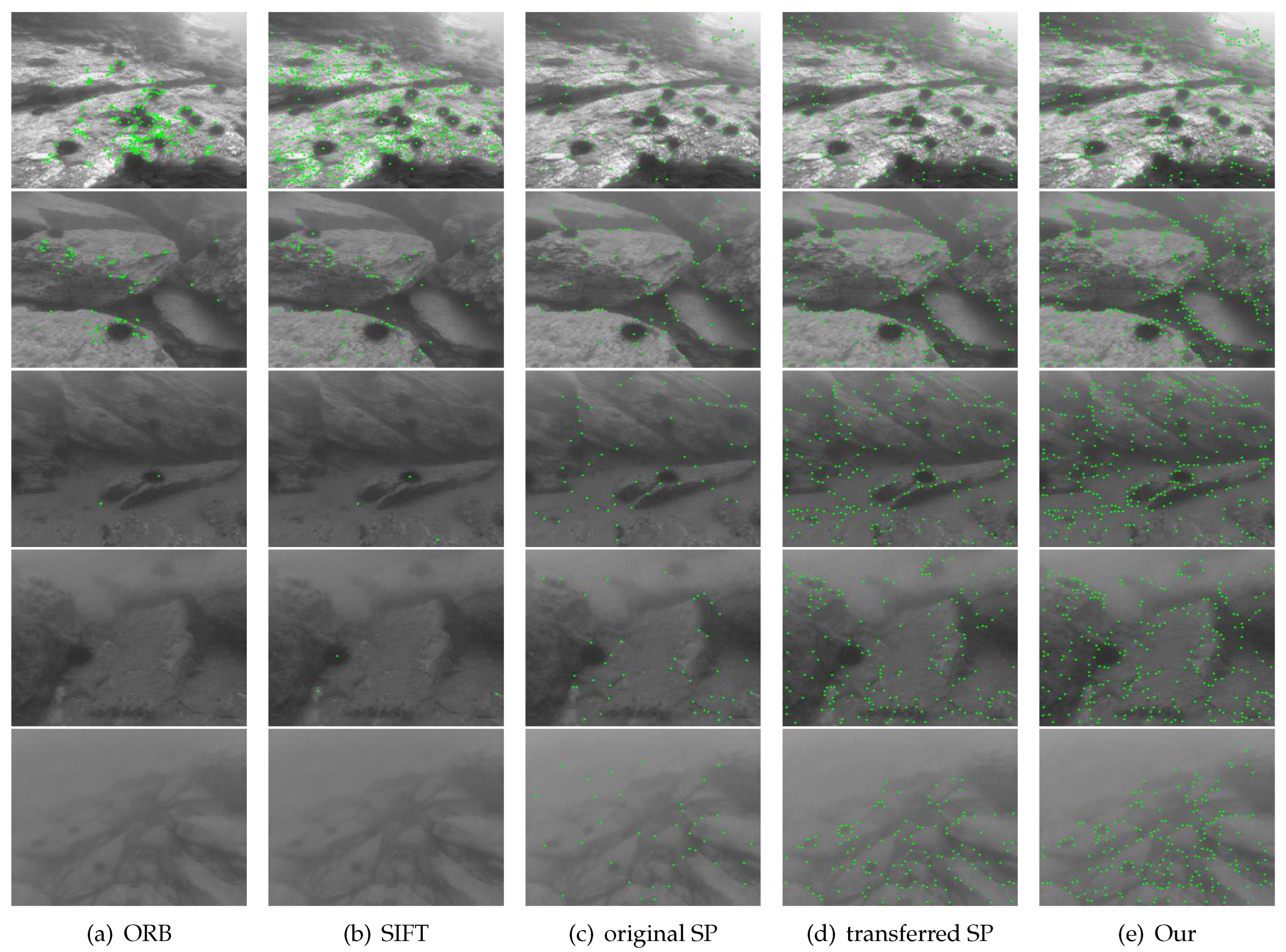 Preprints 87809 g015