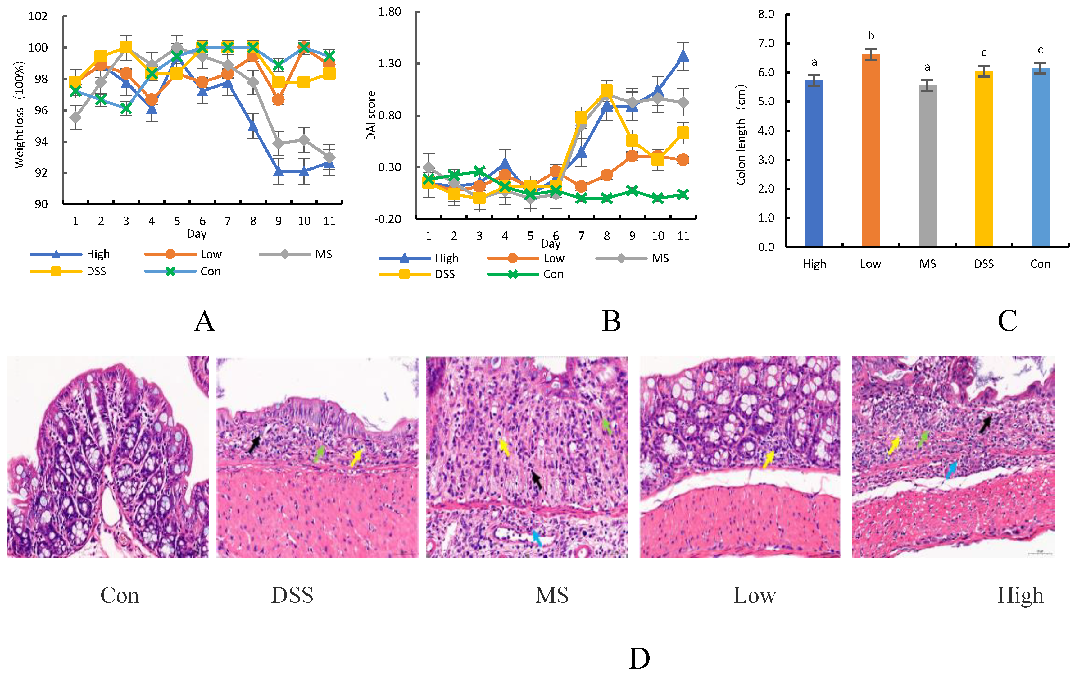 Preprints 87562 g001