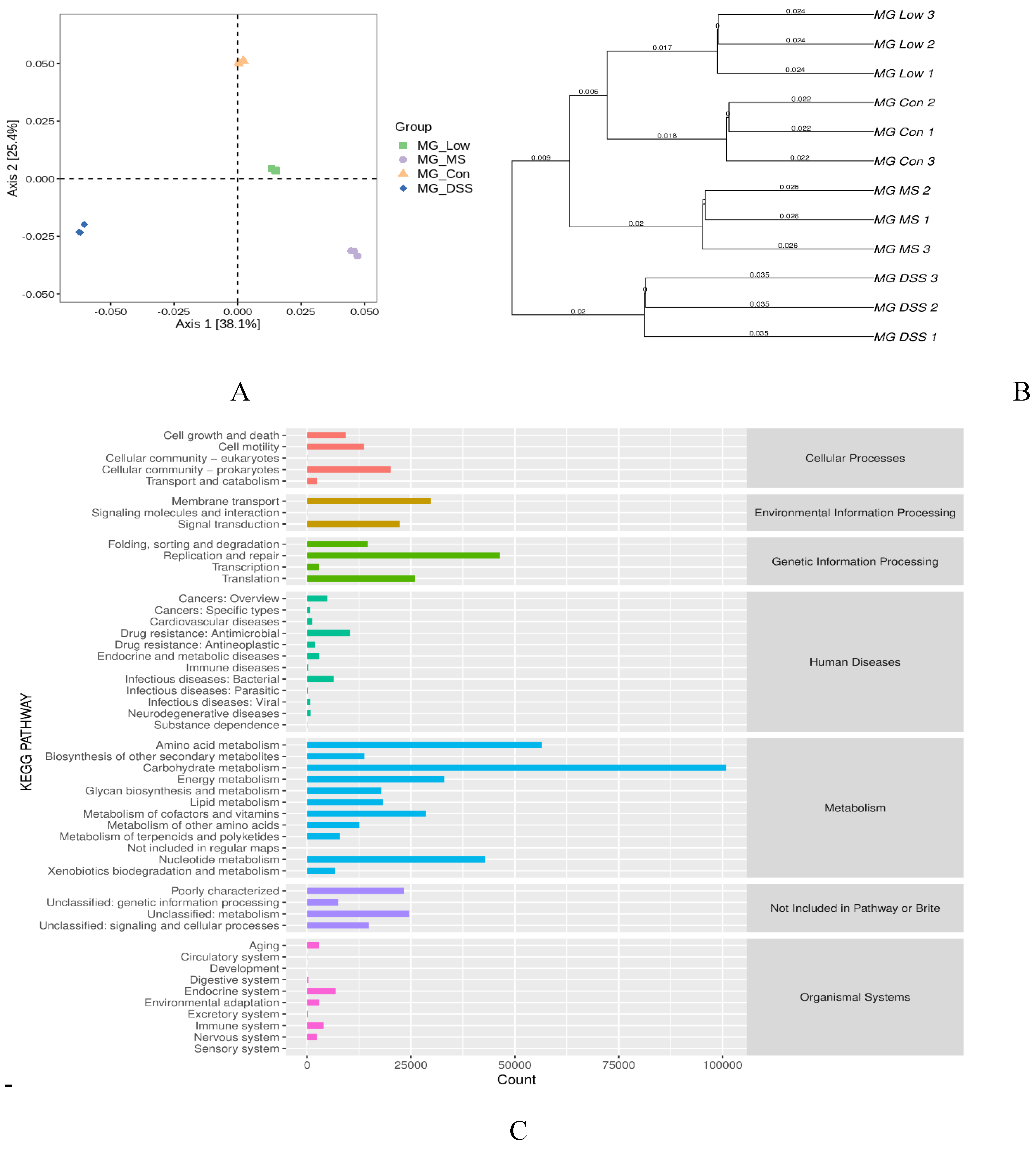 Preprints 87562 g004