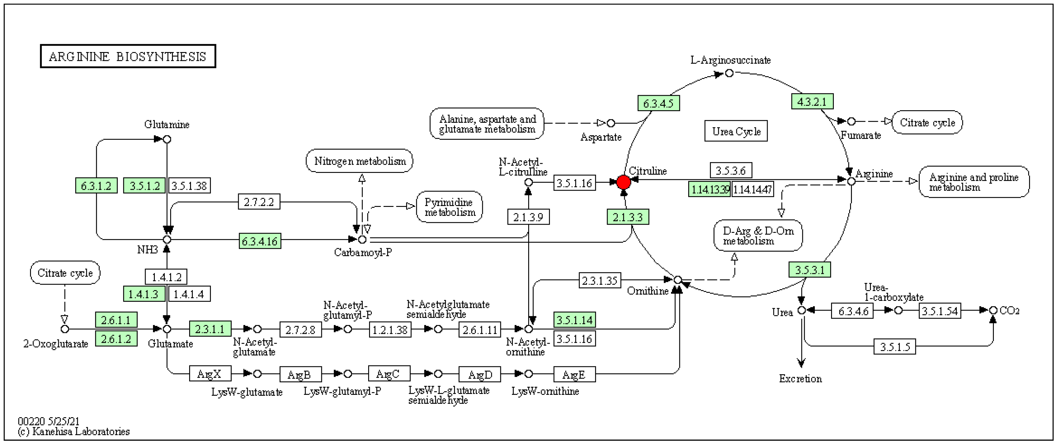 Preprints 87562 g011