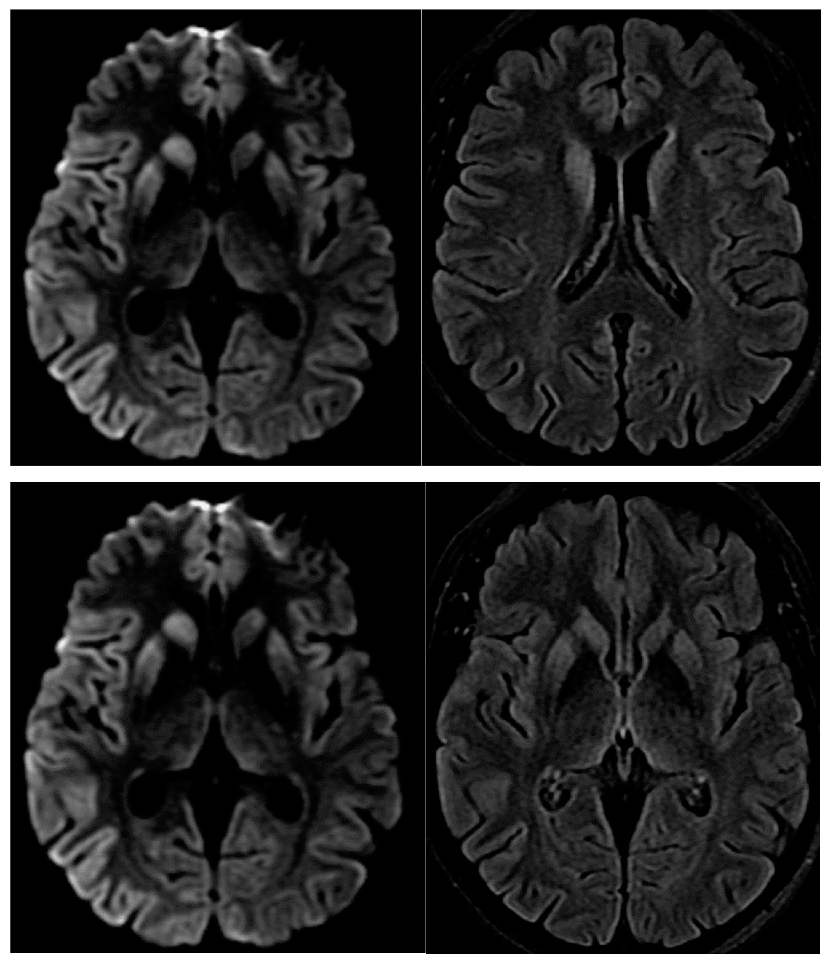 Preprints 94560 g002