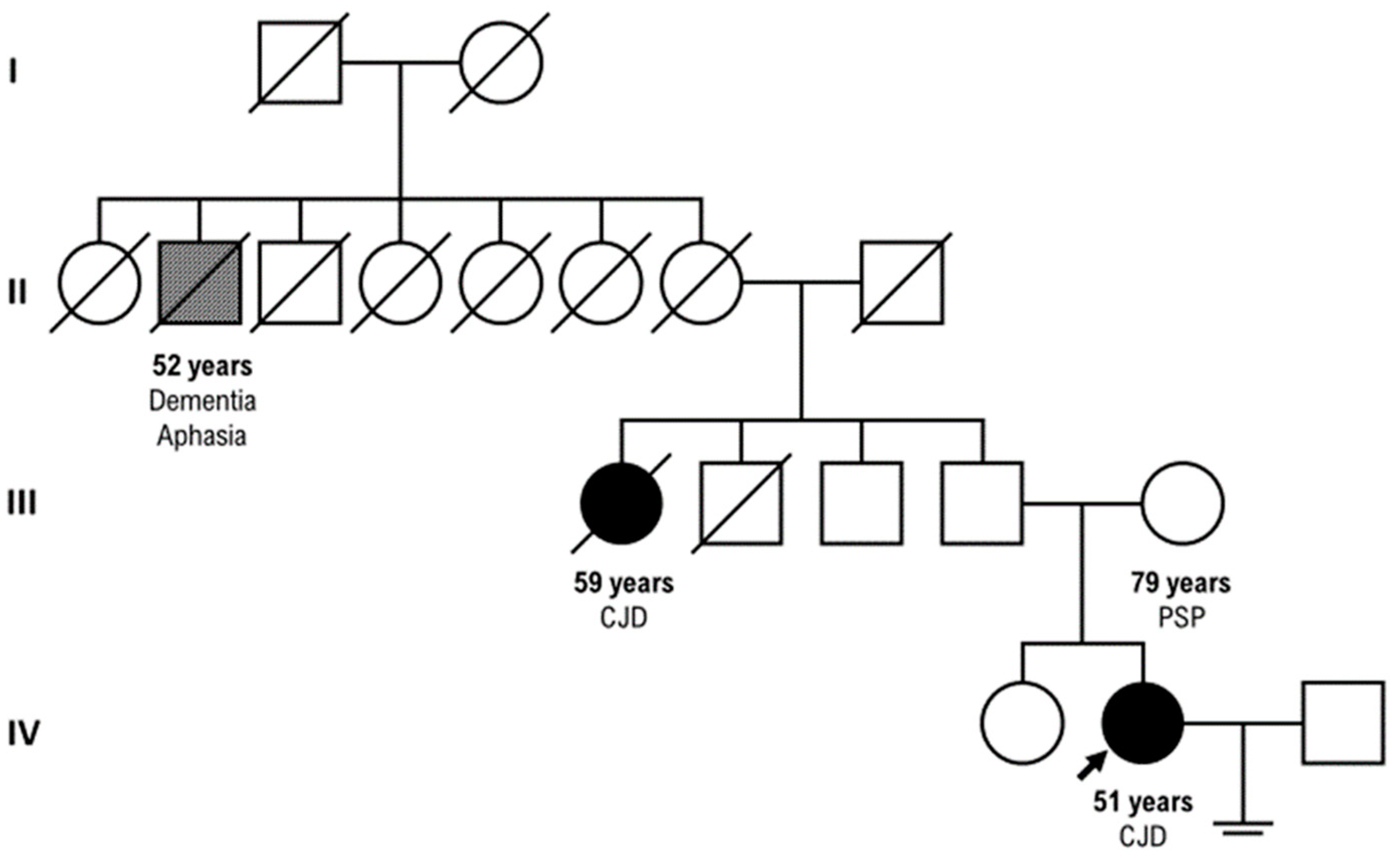 Preprints 94560 g003