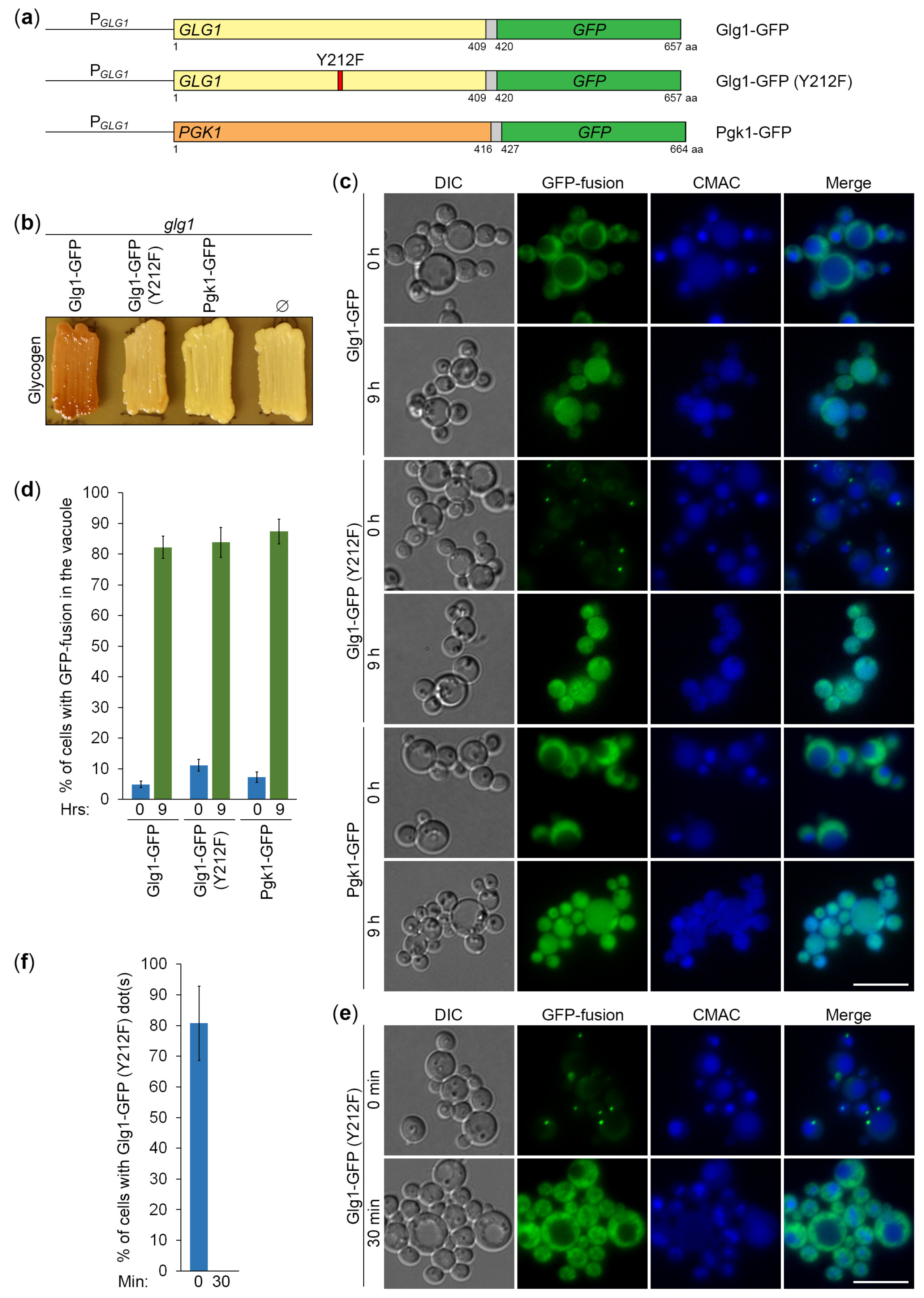 Preprints 95705 g004