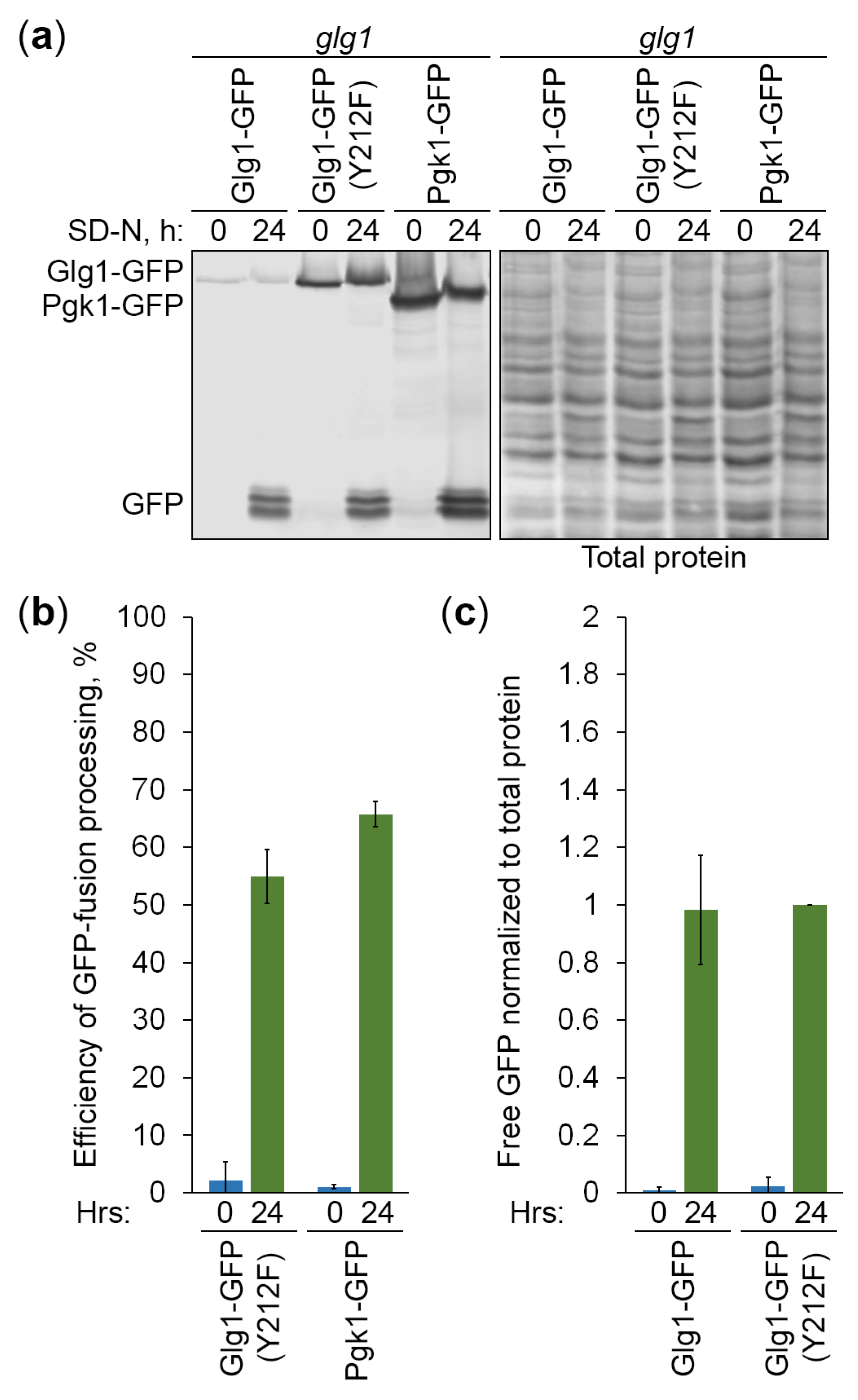 Preprints 95705 g005