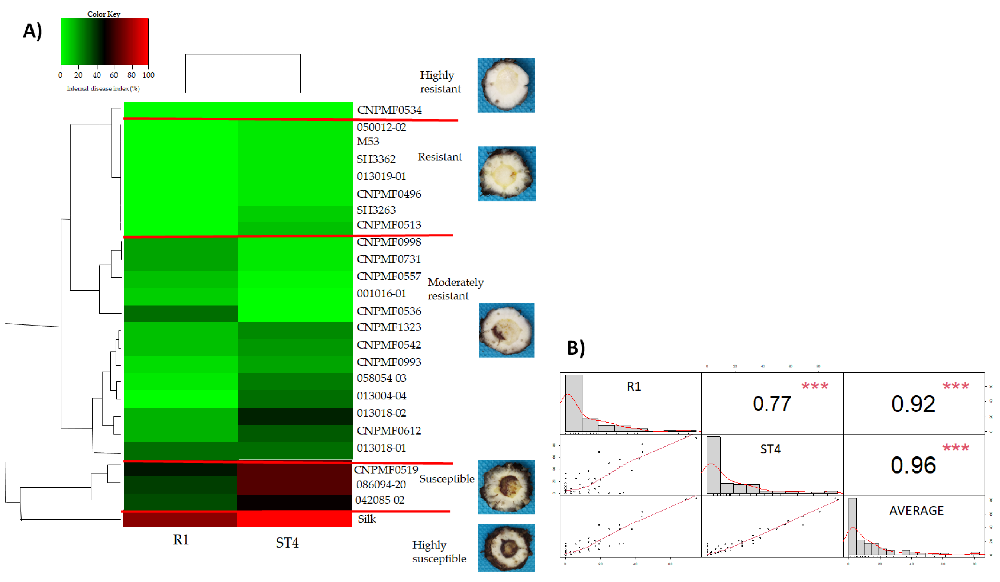 Preprints 103781 g003