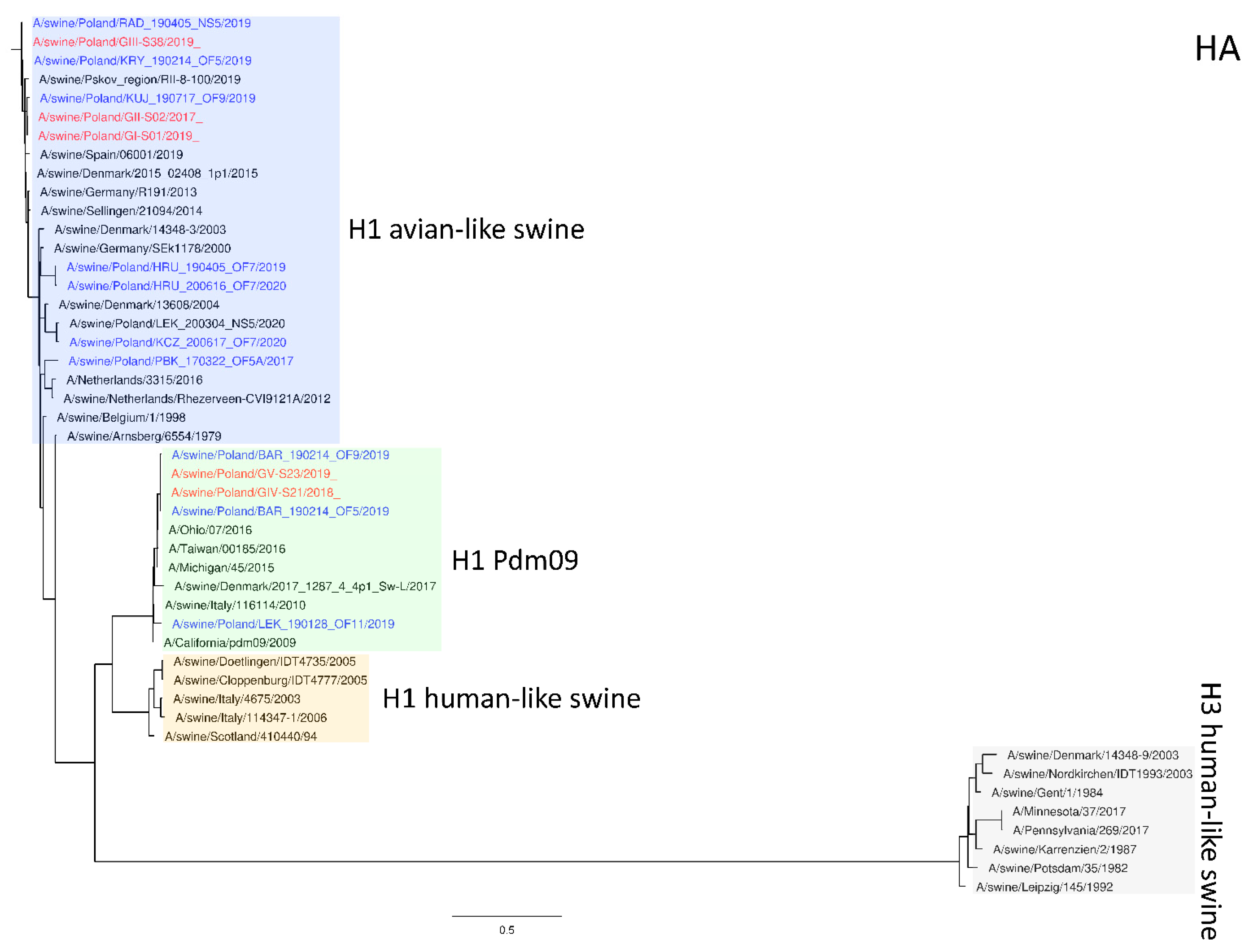 Preprints 81648 g001