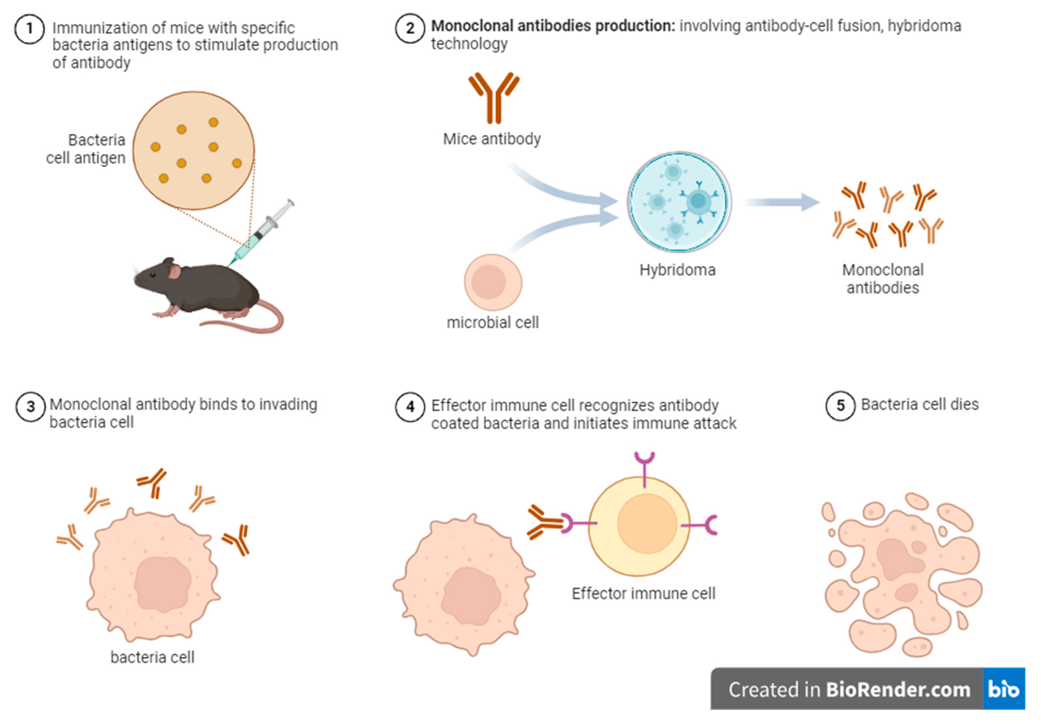 Preprints 138098 g002