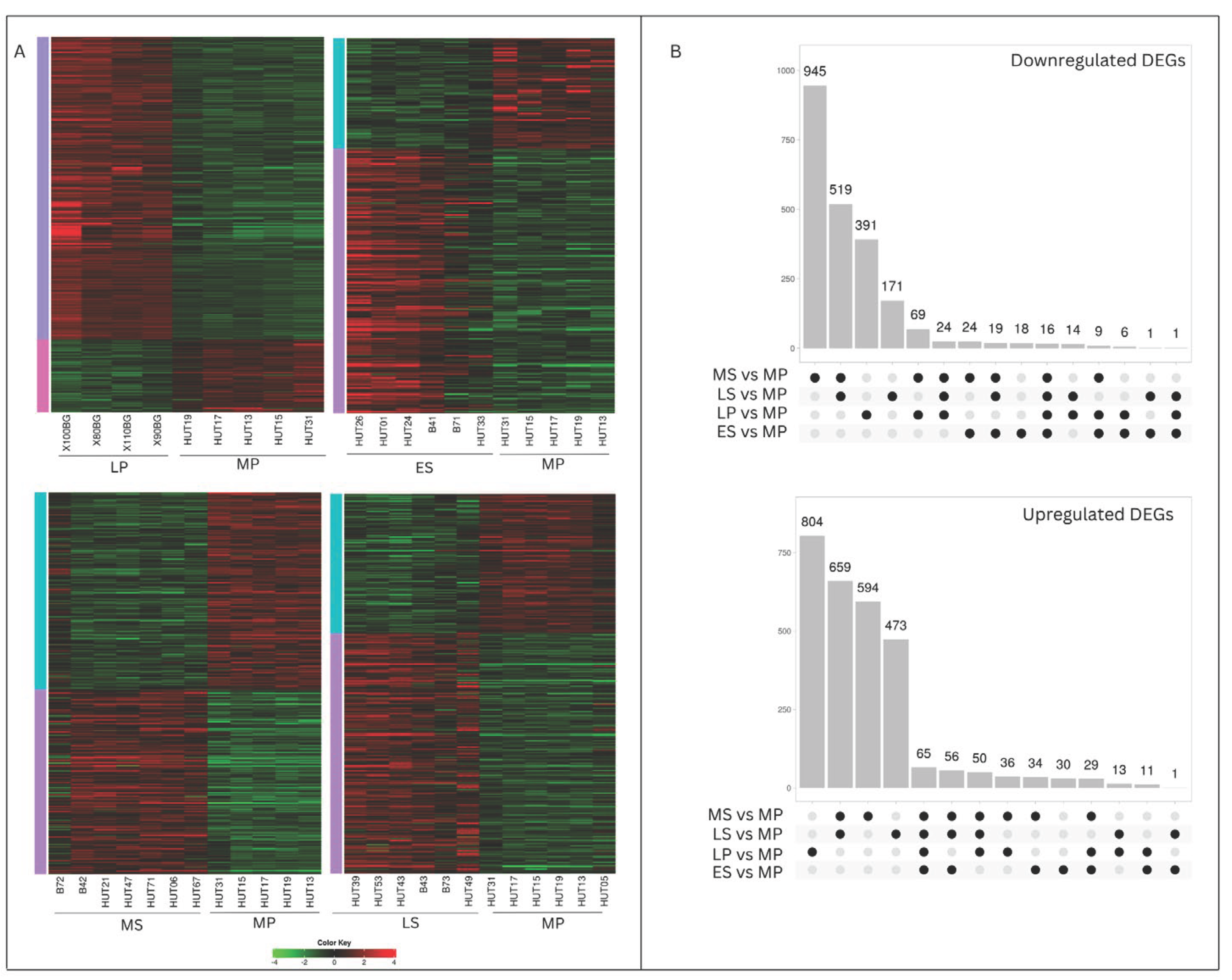 Preprints 103390 g001