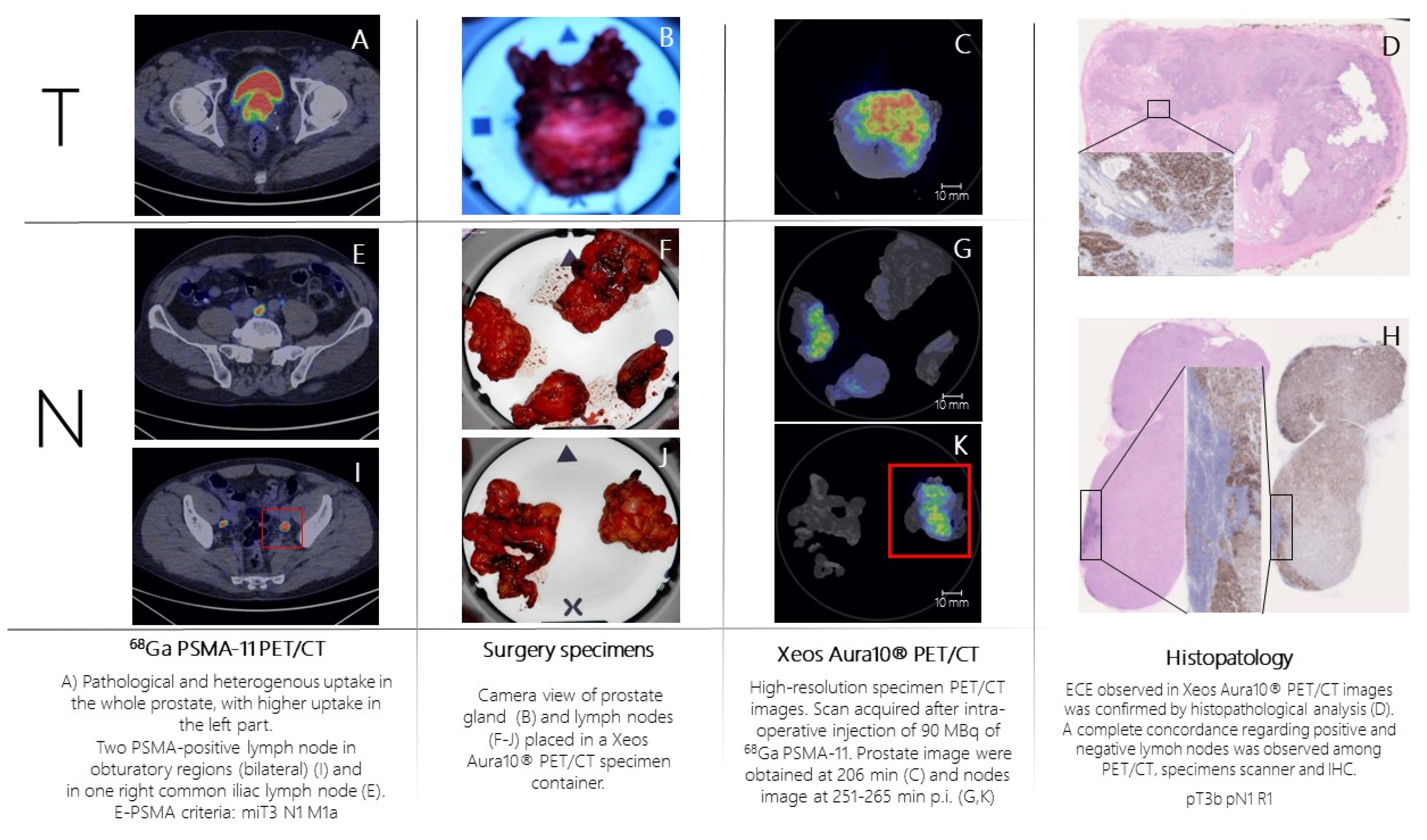 Preprints 68093 g003