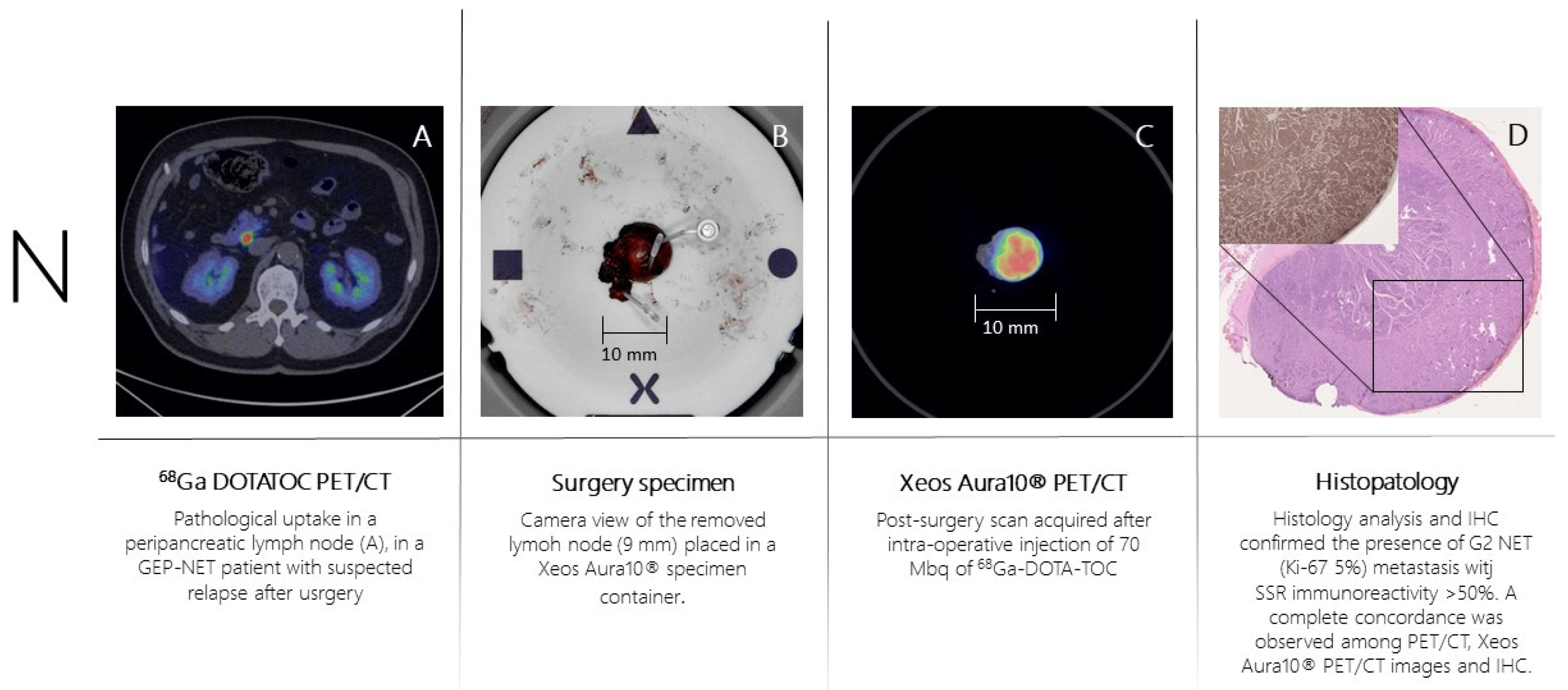 Preprints 68093 g004