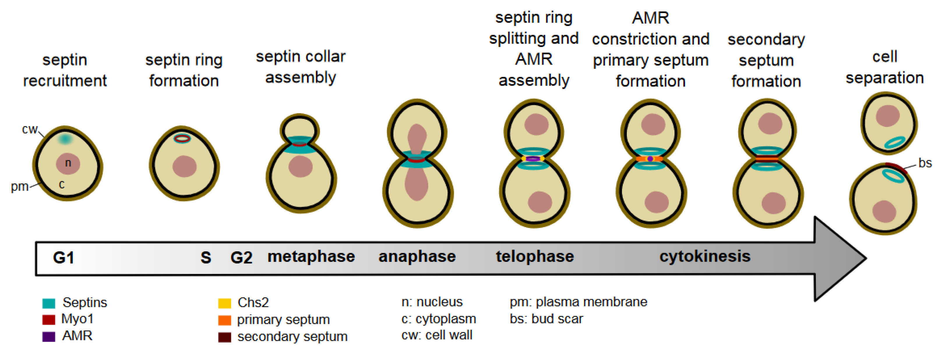 Preprints 113439 g001