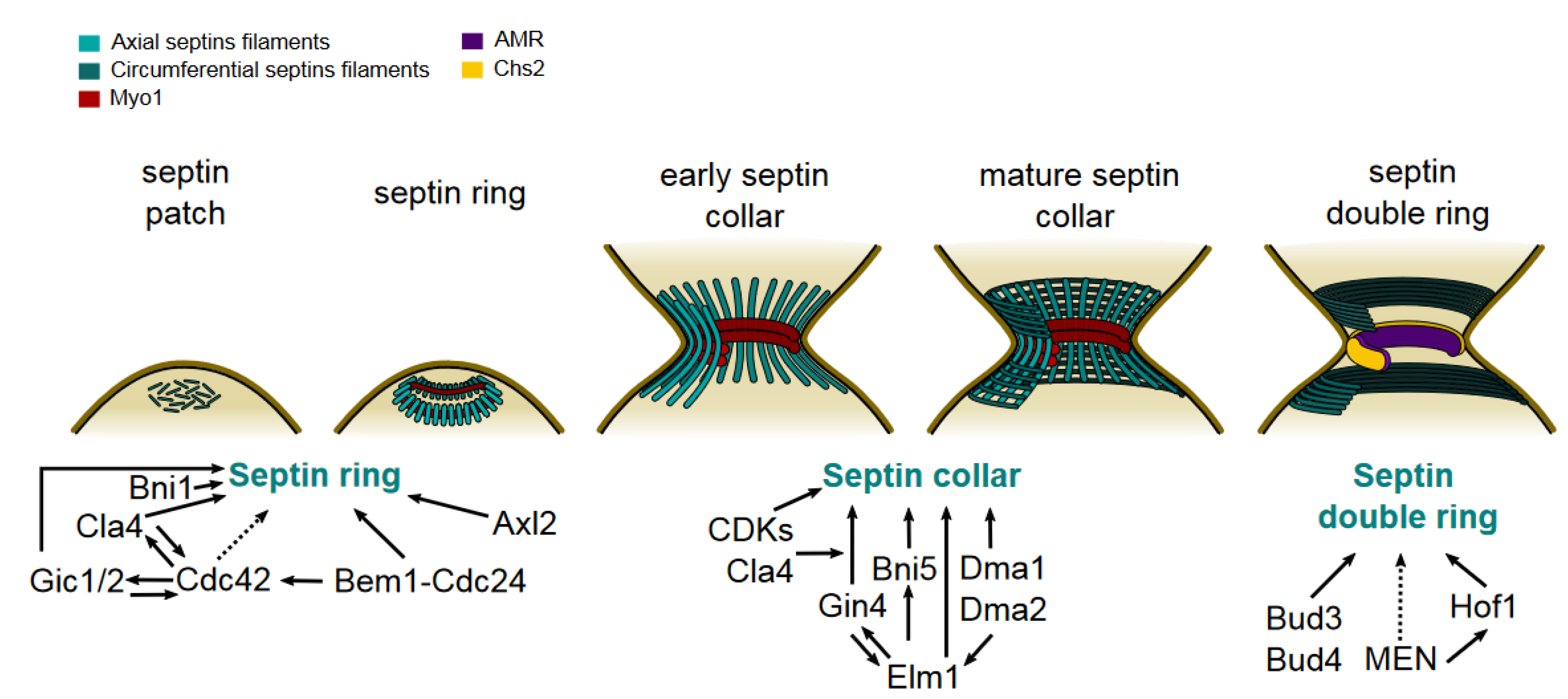 Preprints 113439 g002