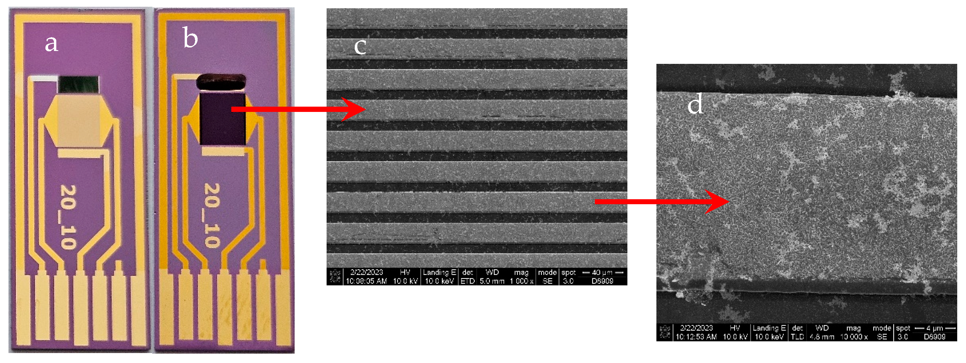 Preprints 97474 g001